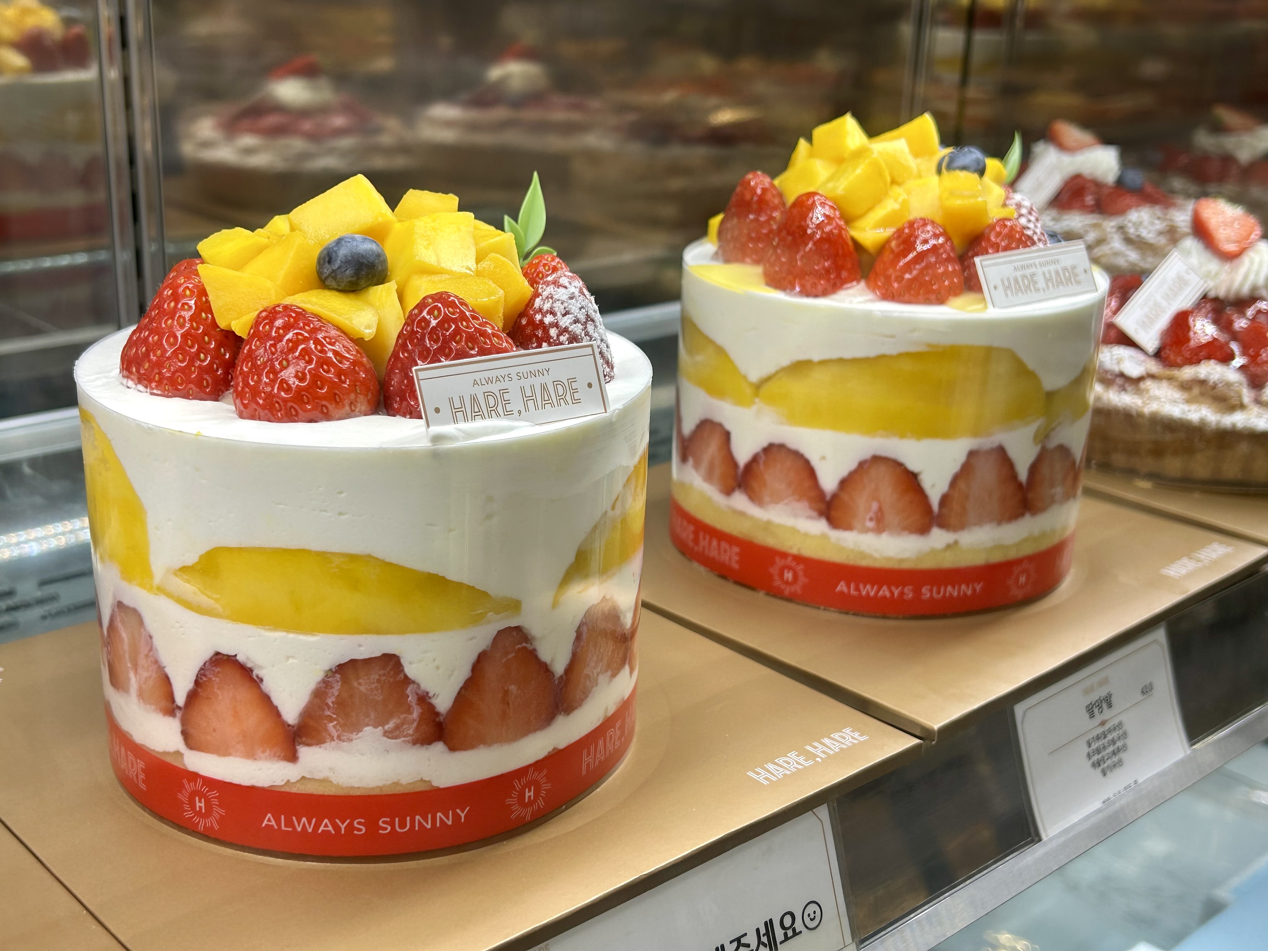 대전 빵지순례 하러 다녀온 하레하레 둔산점💓 빵 세개 + 음료 두잔 주문했는데 2만원 밖에