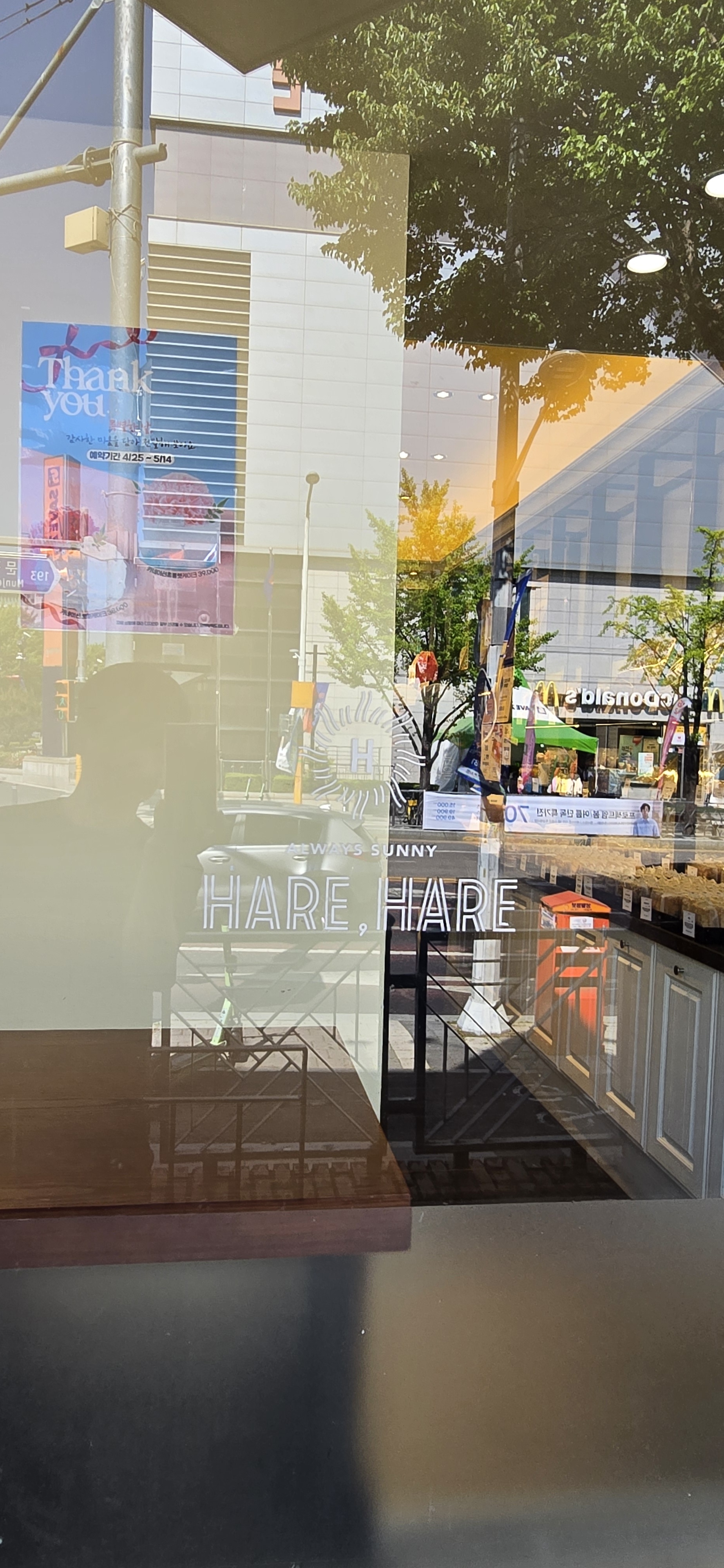 대전 맛집 하레하레 둔산점 43번째 리뷰 이미지