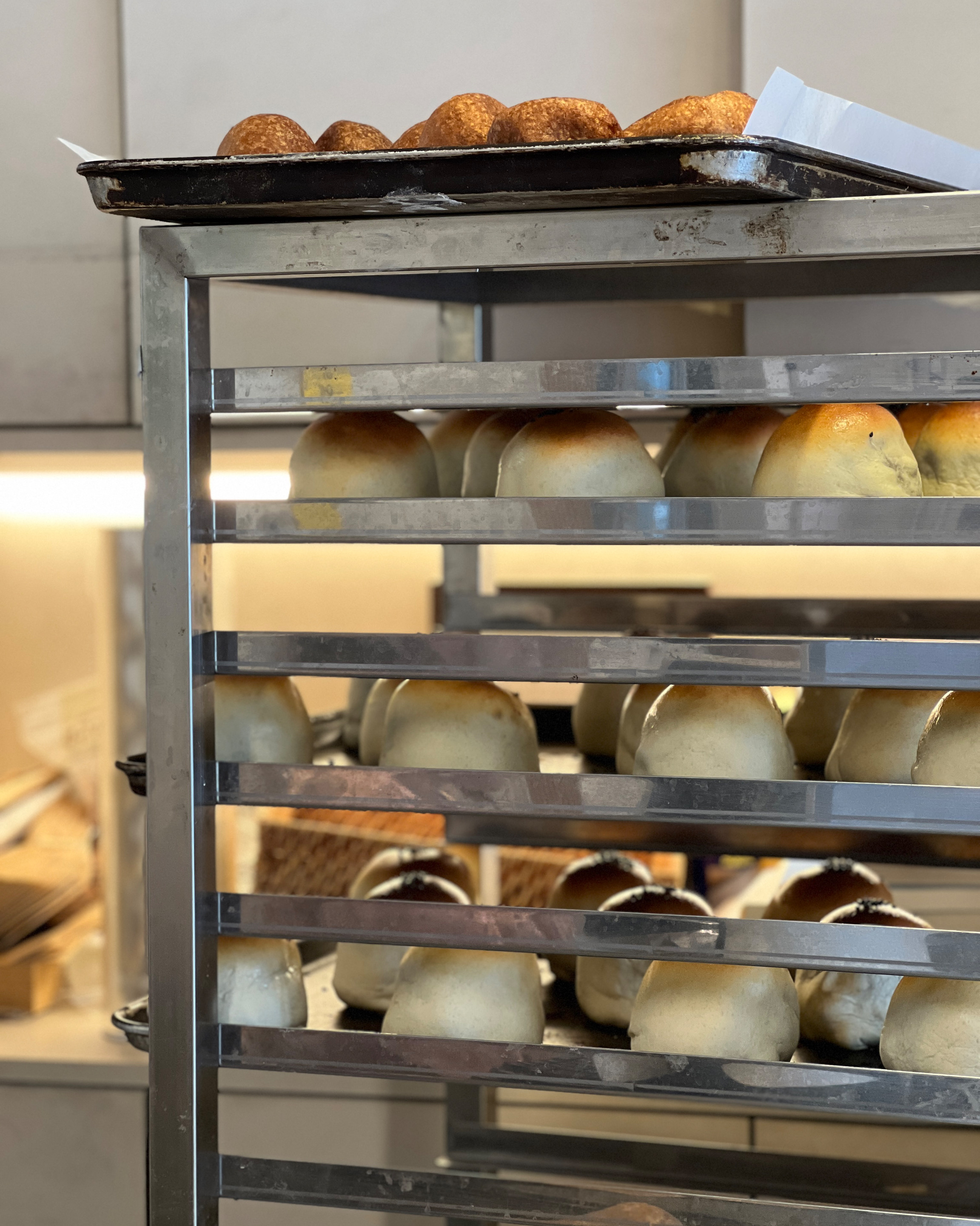 마늘바게트 너무 맛있거요 찹쌀도나츠 따뜻할 때 드시면 천국갑니다 녹차맘모스 크림빵 누네띠네