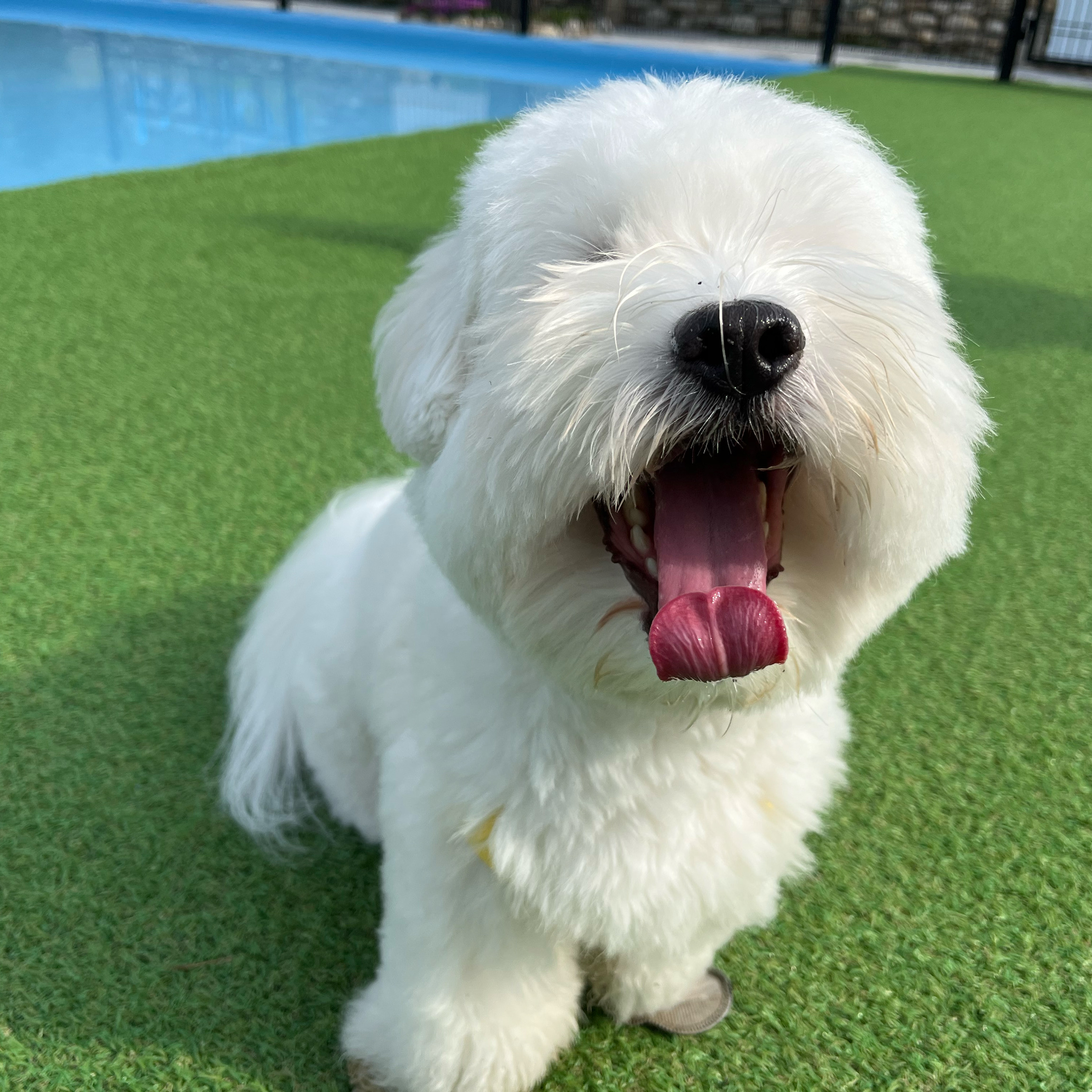 리뷰 사진 1