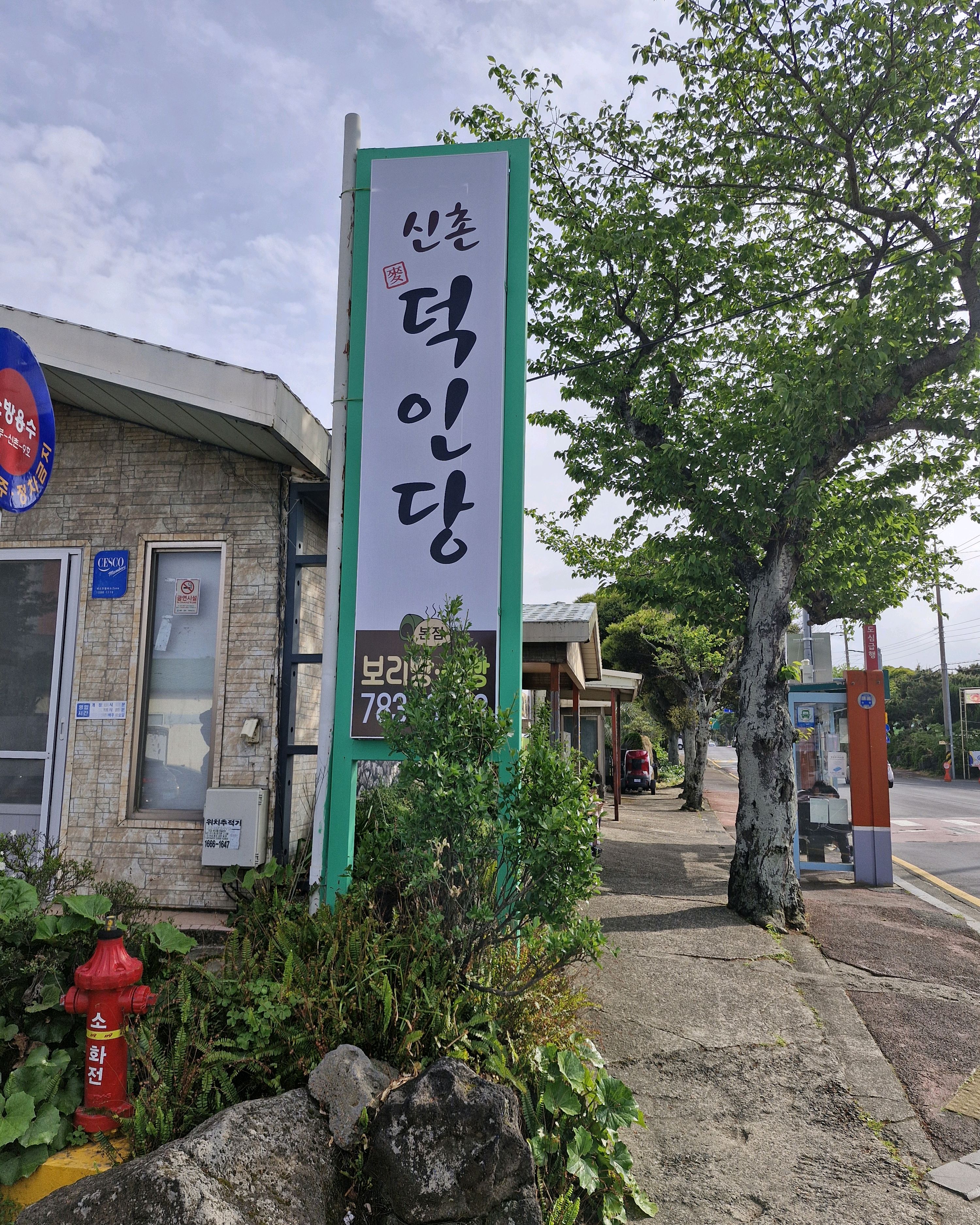 보리빵 맛집 제주오면 들려 택배 주문하고 쑥팥찐빵 사서 이동하며 먹음 간식용으로 좋아요 - 제주 맛집 신촌덕인당