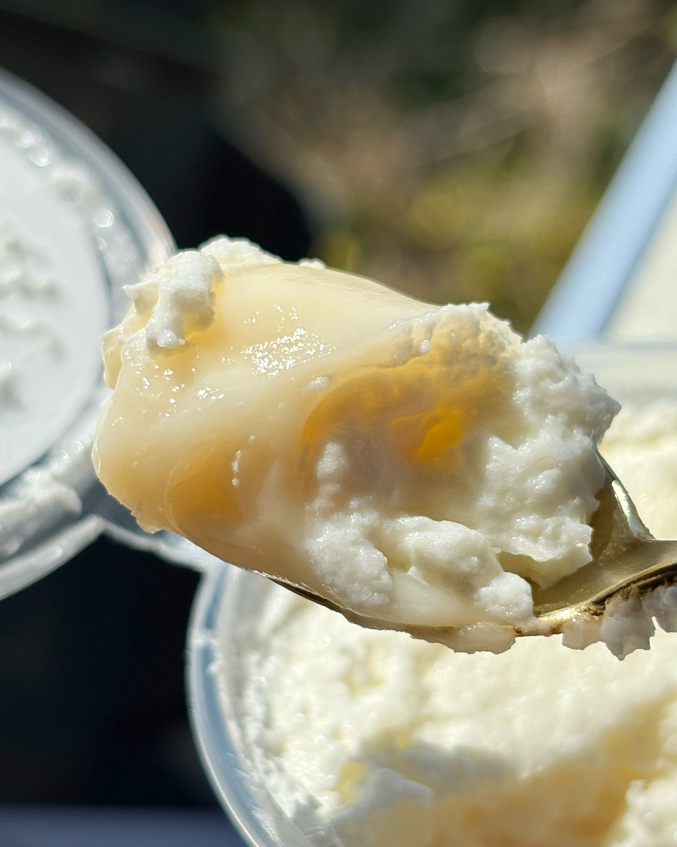 보통의 카이막을 생각하고 드시지 마세요! - 제주 맛집 천사 카이막