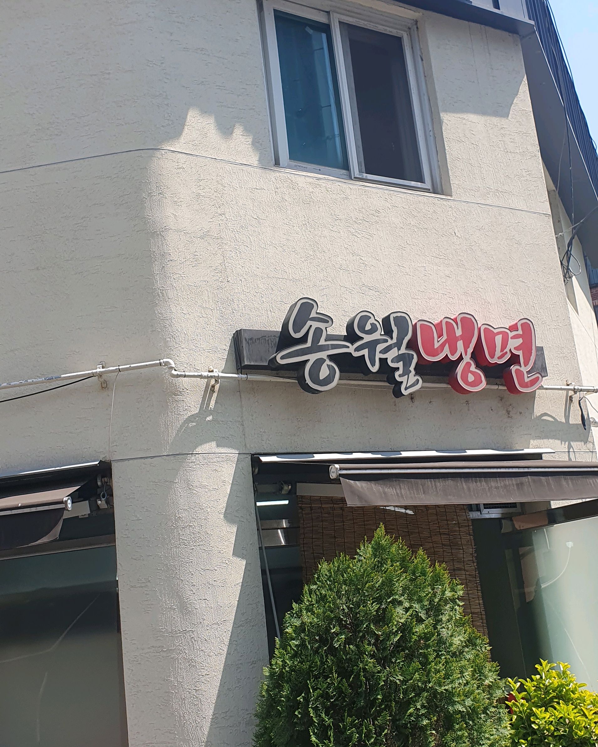 코로나전에 자주 먹으러 가다 오랜만에 갔더니 - 천호동 맛집 송월냉면