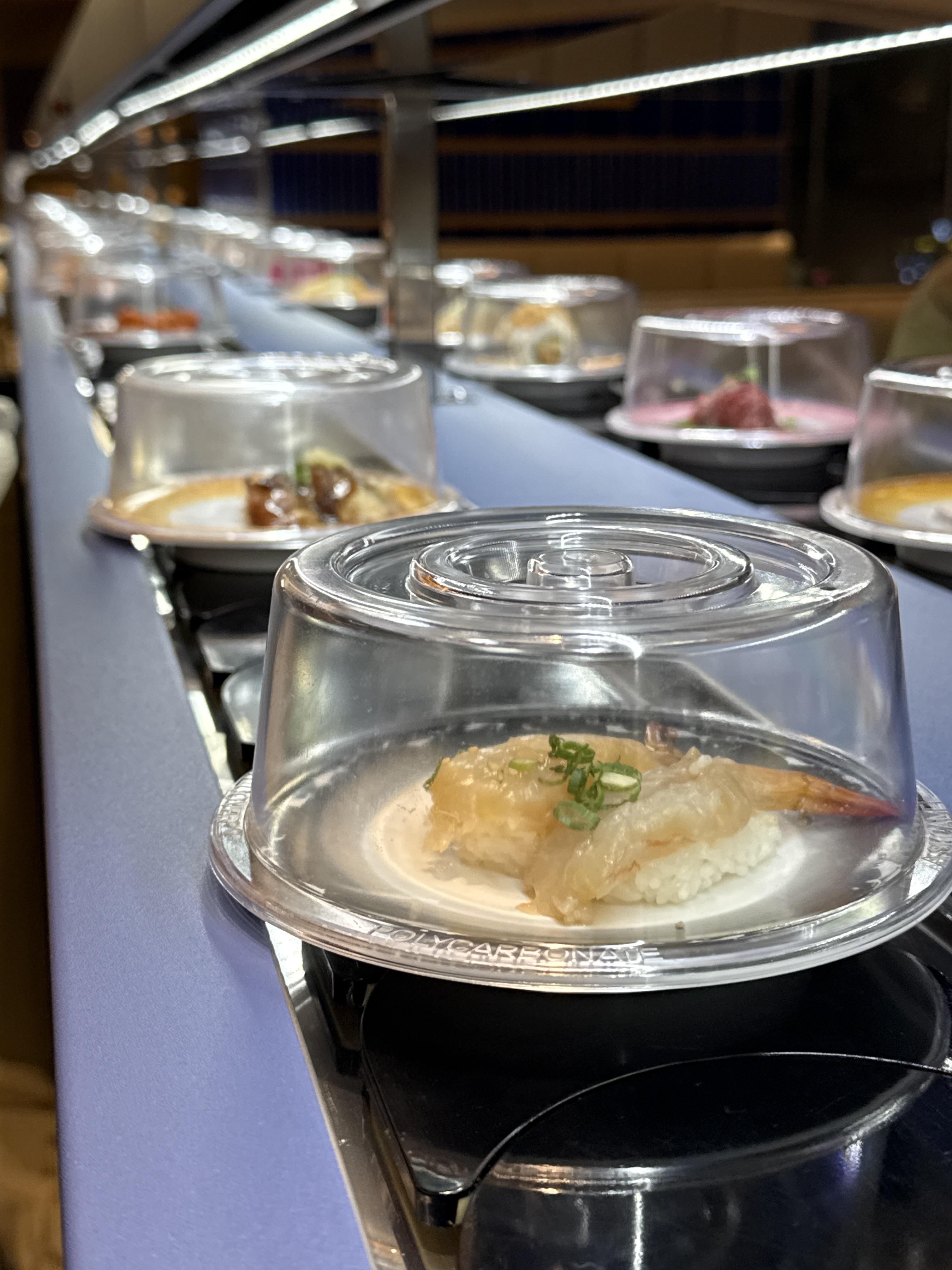 안양 범계 맛집 쿠우쿠우 블루레일 평촌범계점 내돈내산 찐리뷰