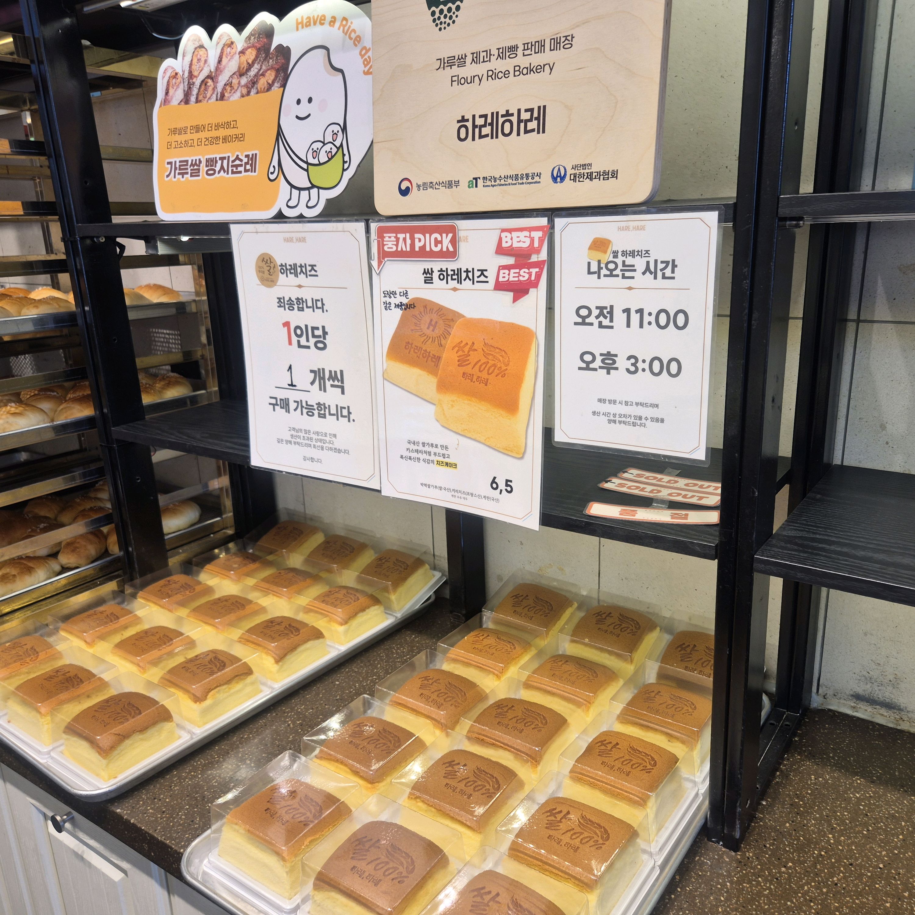 풍자 또간집 보고 방문하게 되었어요 - 대전 맛집 하레하레 둔산점