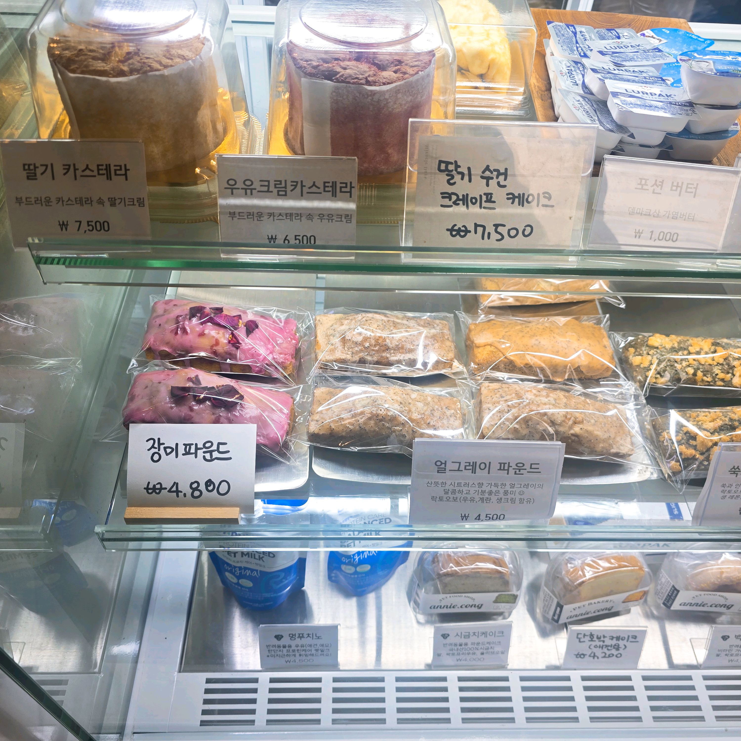 [용인 맛집 카페 담스 용인본점] 직접 가본 로컬 리뷰