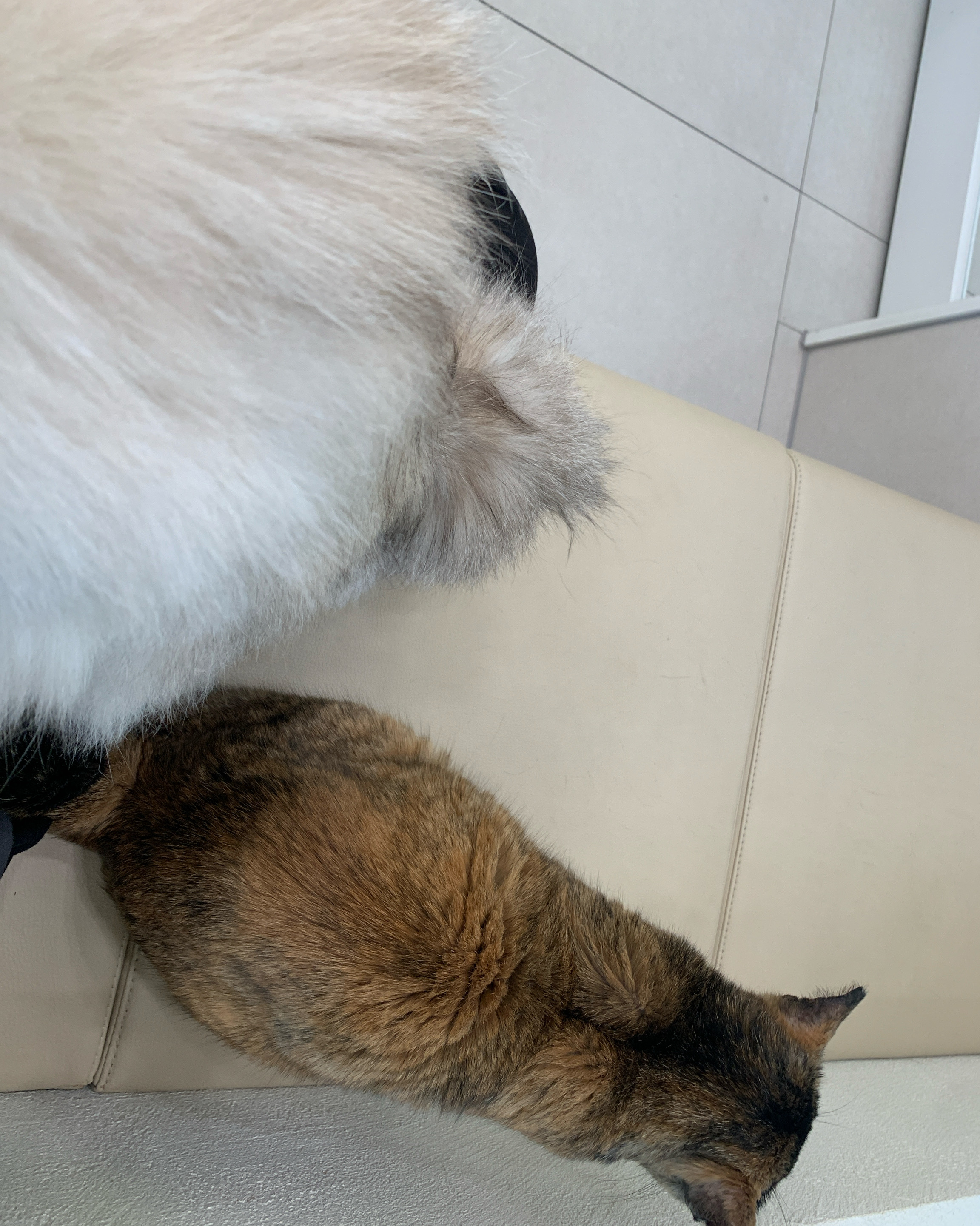 리뷰 사진 1