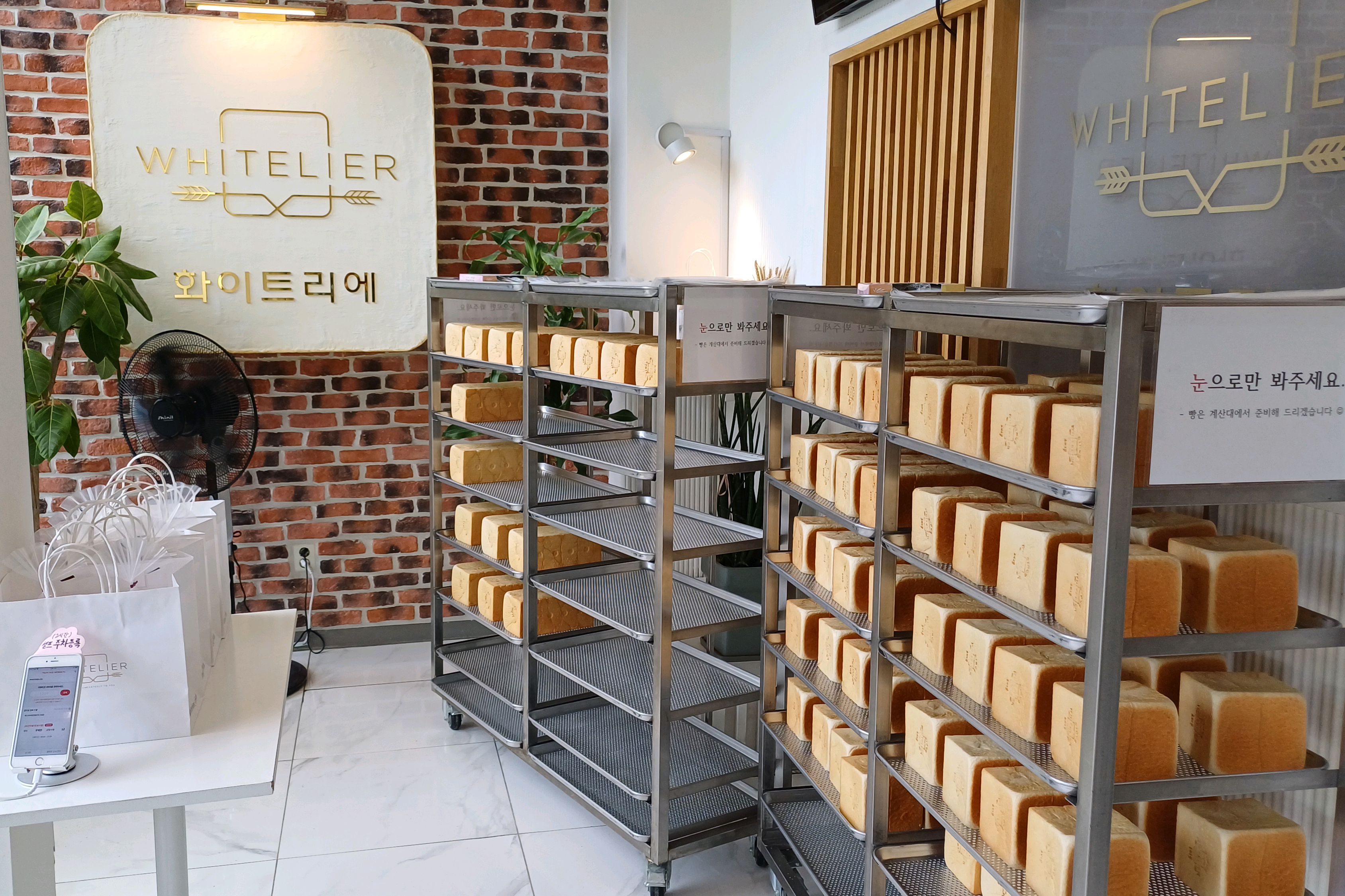 2025 고양꽃박람회 - 일산 맛집 화이트리에 일산점