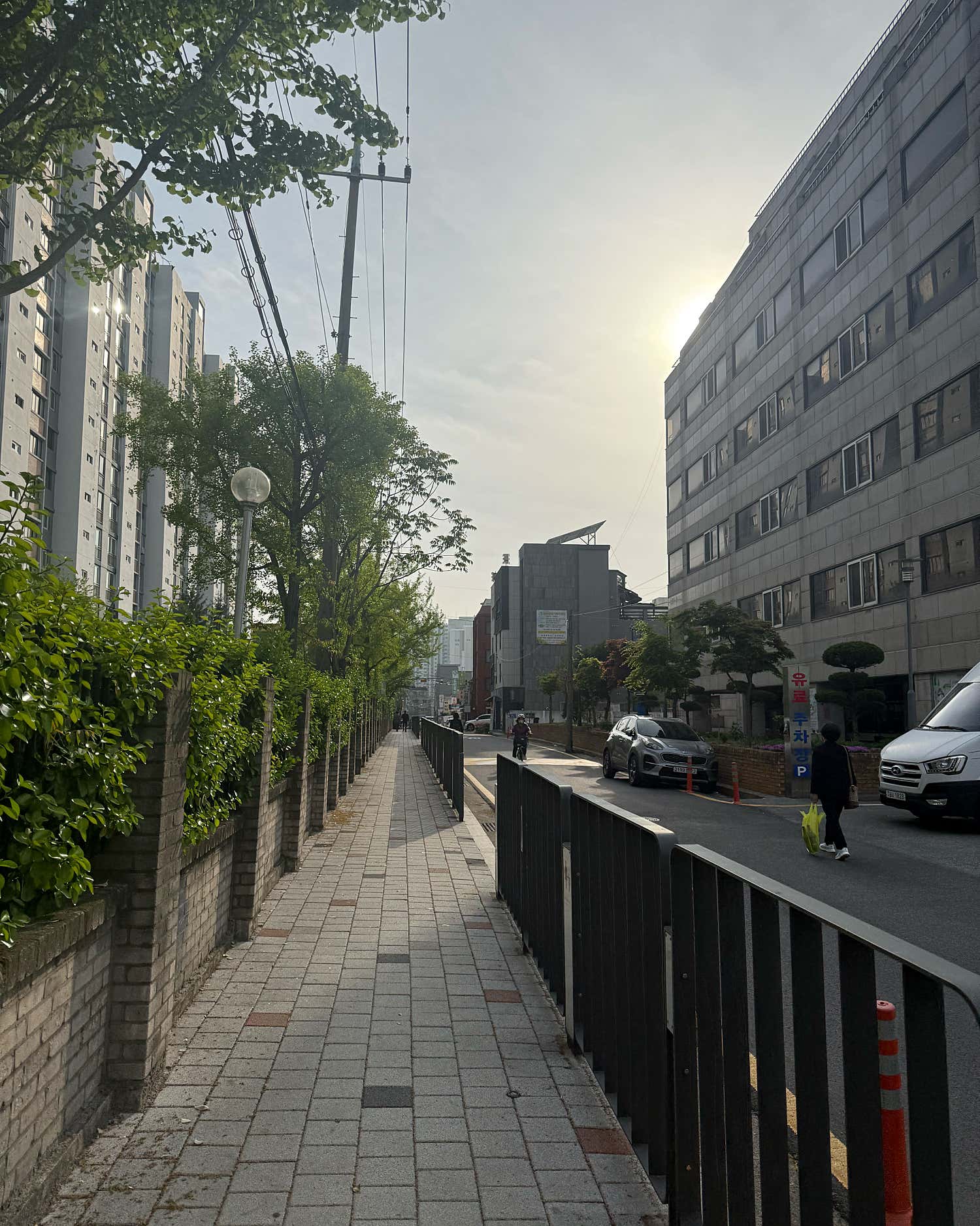 새손병원