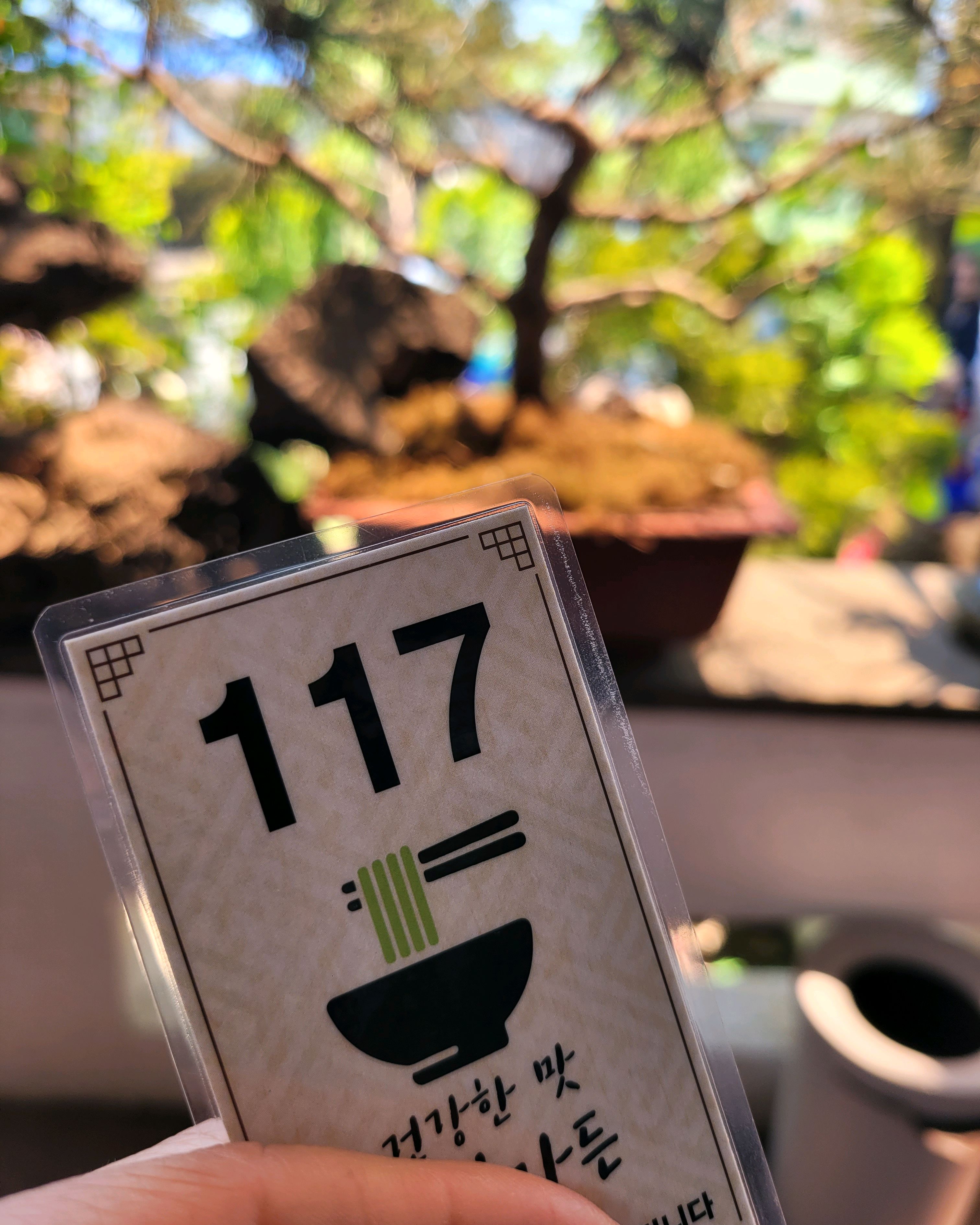 20분정도 기다렸고 음식은 주문후 바로 나왔어요. 열무김치와 가지들깨무침만으로도 공기밥을