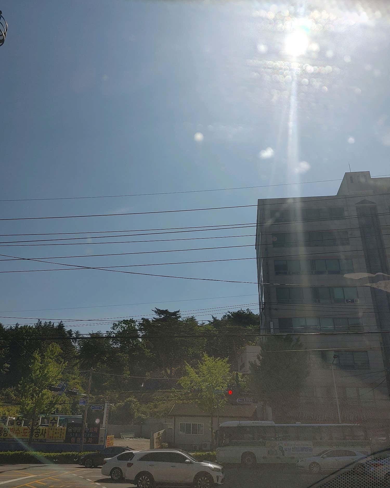 보문정형외과의원