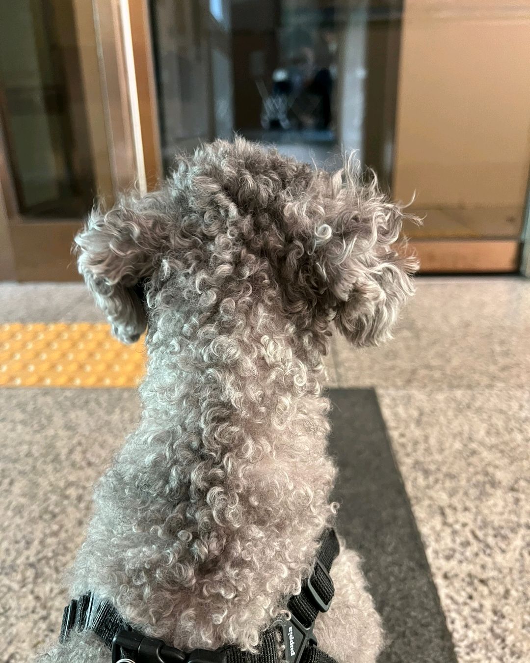 리뷰 사진 1