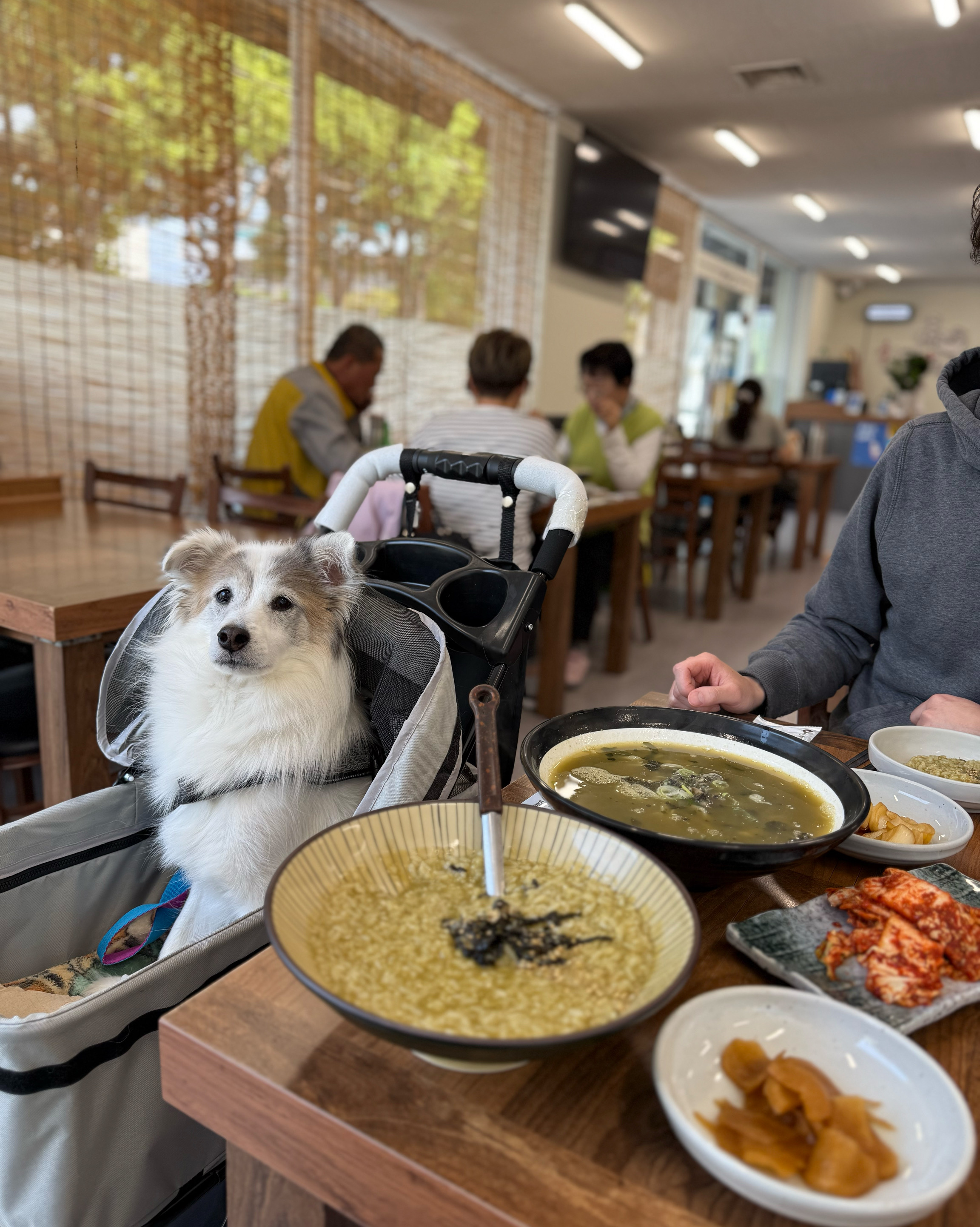 너무너무 맛있게 잘 먹었습니다. 아침부터 든든하네요 보말죽 보말칼국수 다 넘 맛있어요! - 제주 맛집 웅이네 보말칼국수 제주본점