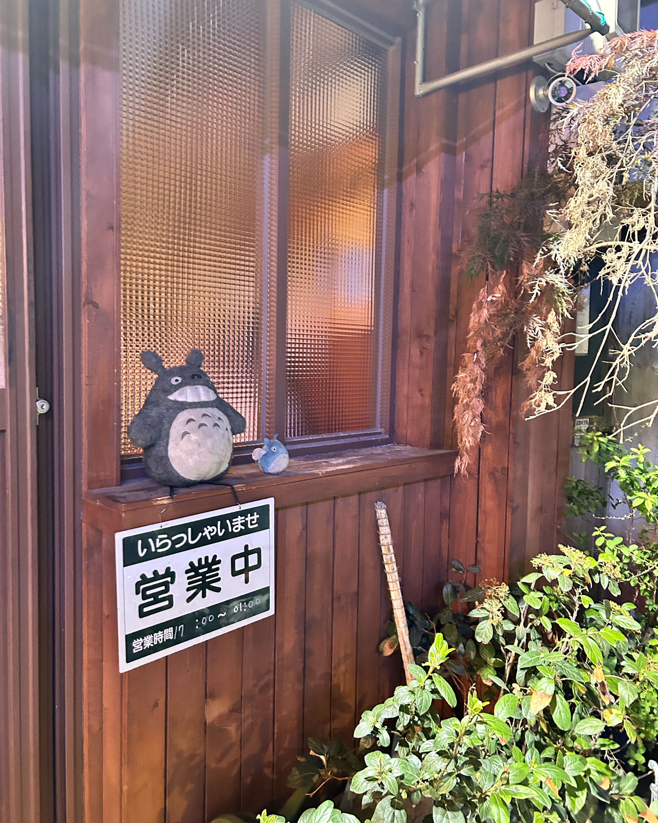 동대구역 맛집으로 유명한 요모 방문해 보았어요! 안주가 정말 맛있고 특히 생맥주가 너무 맛