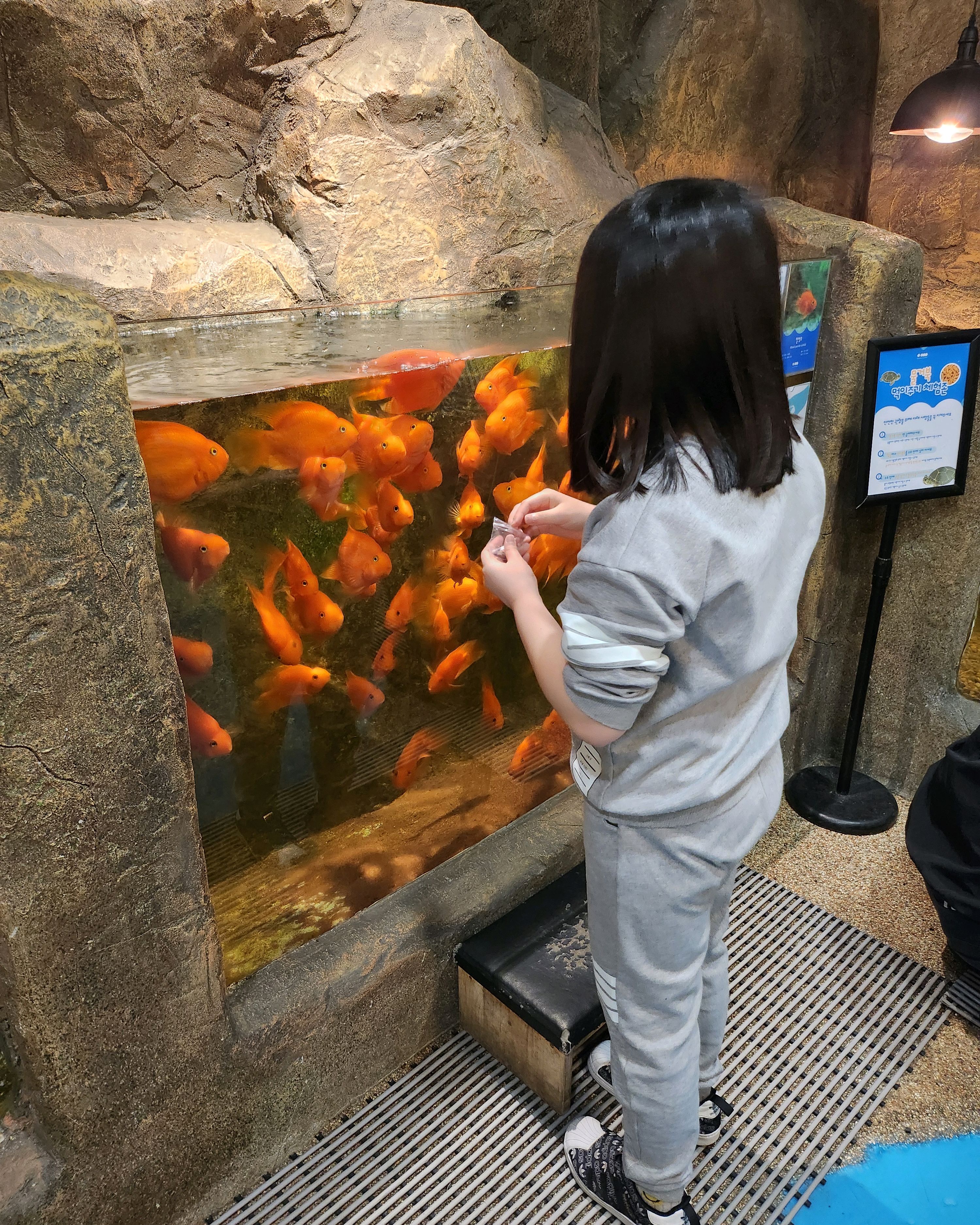 딸이랑 같이 방문했어요 파충류 설명도 잘 해주시고 먹이주기 체험도 있어서 좋아요 - 불당동 맛집 어푸어푸 천안모다아울렛점