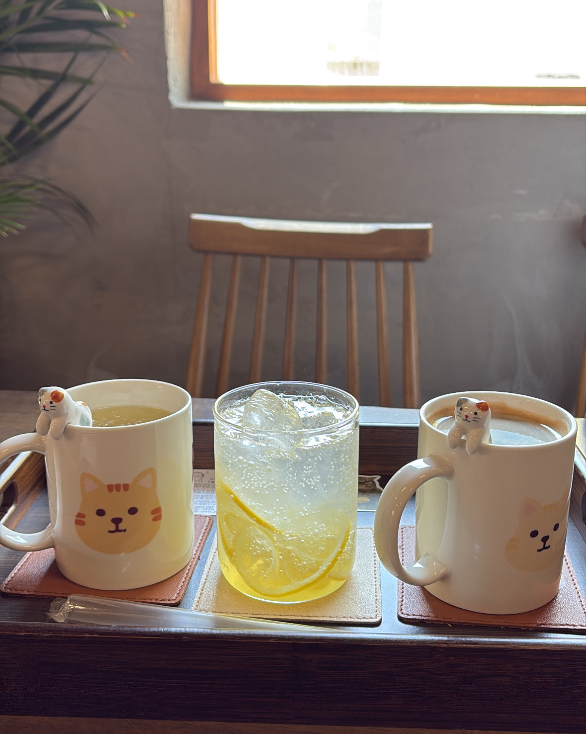 제주 맛집 미르담 49번째 리뷰 이미지