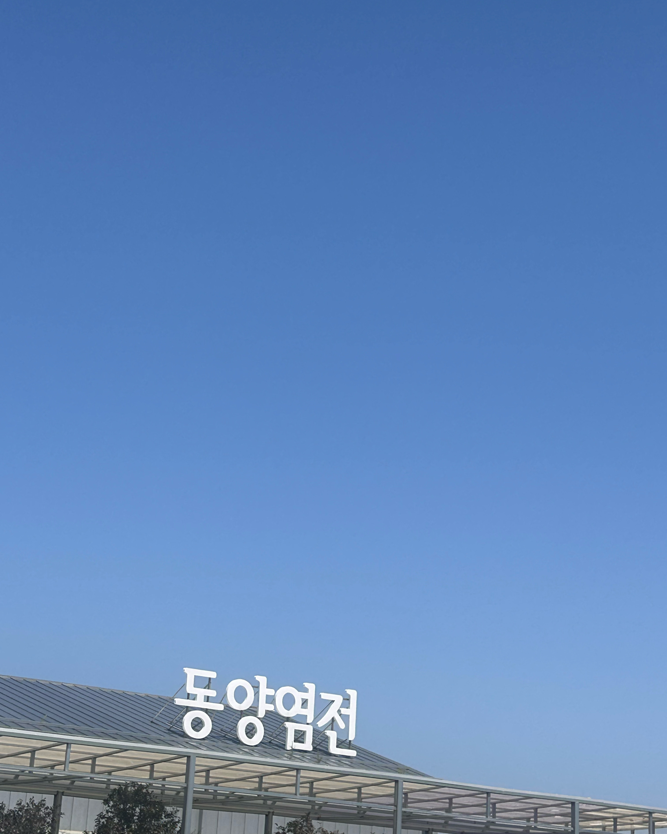 인천 맛집 동양염전베이커리카페 22번째 리뷰 이미지