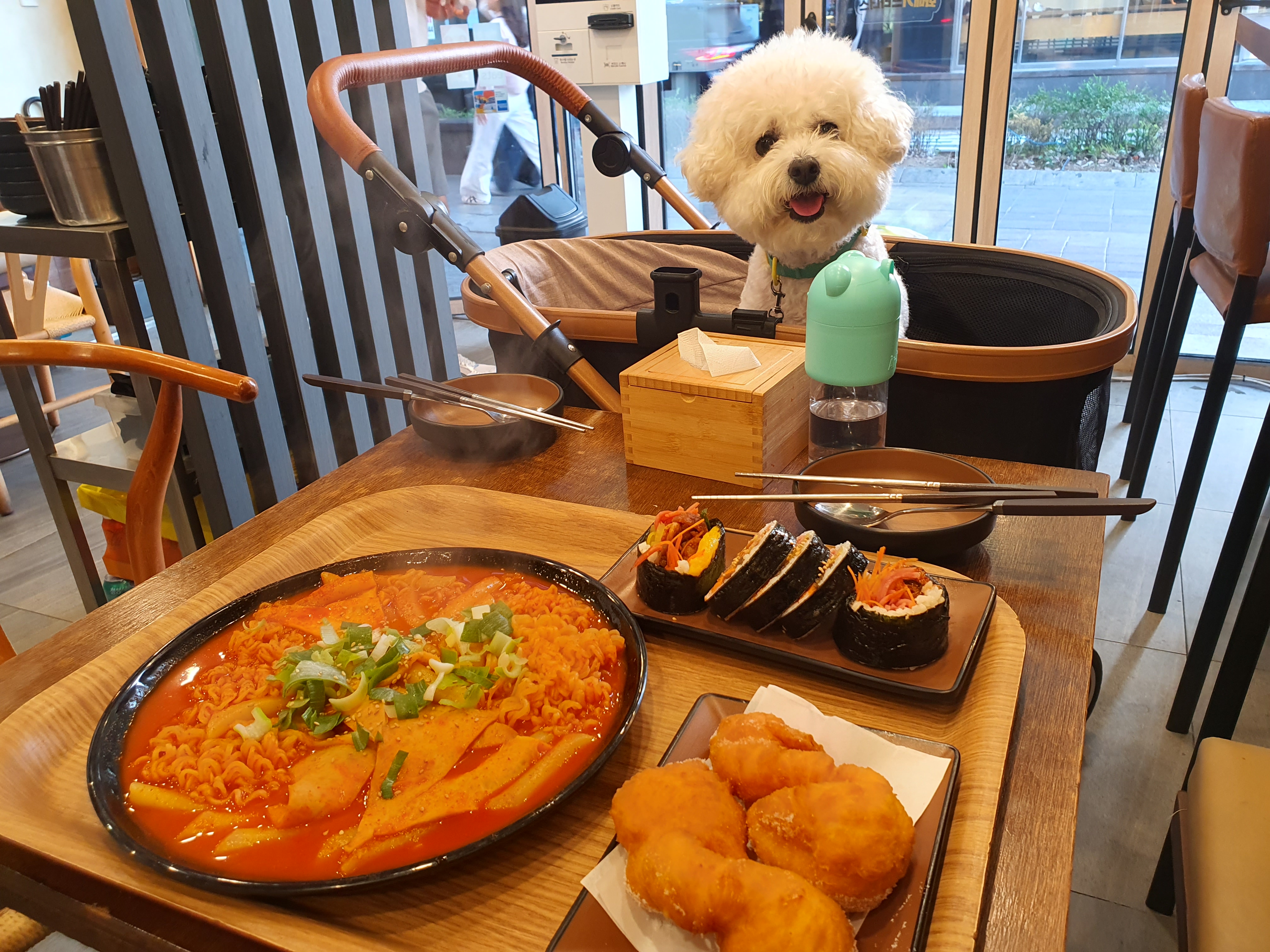 강아지랑 같이 갈 식당 찾다가 발견했는데, 너무 괜찮은 맛집을 발견해서 신나요ㅎㅎ 친절하시
