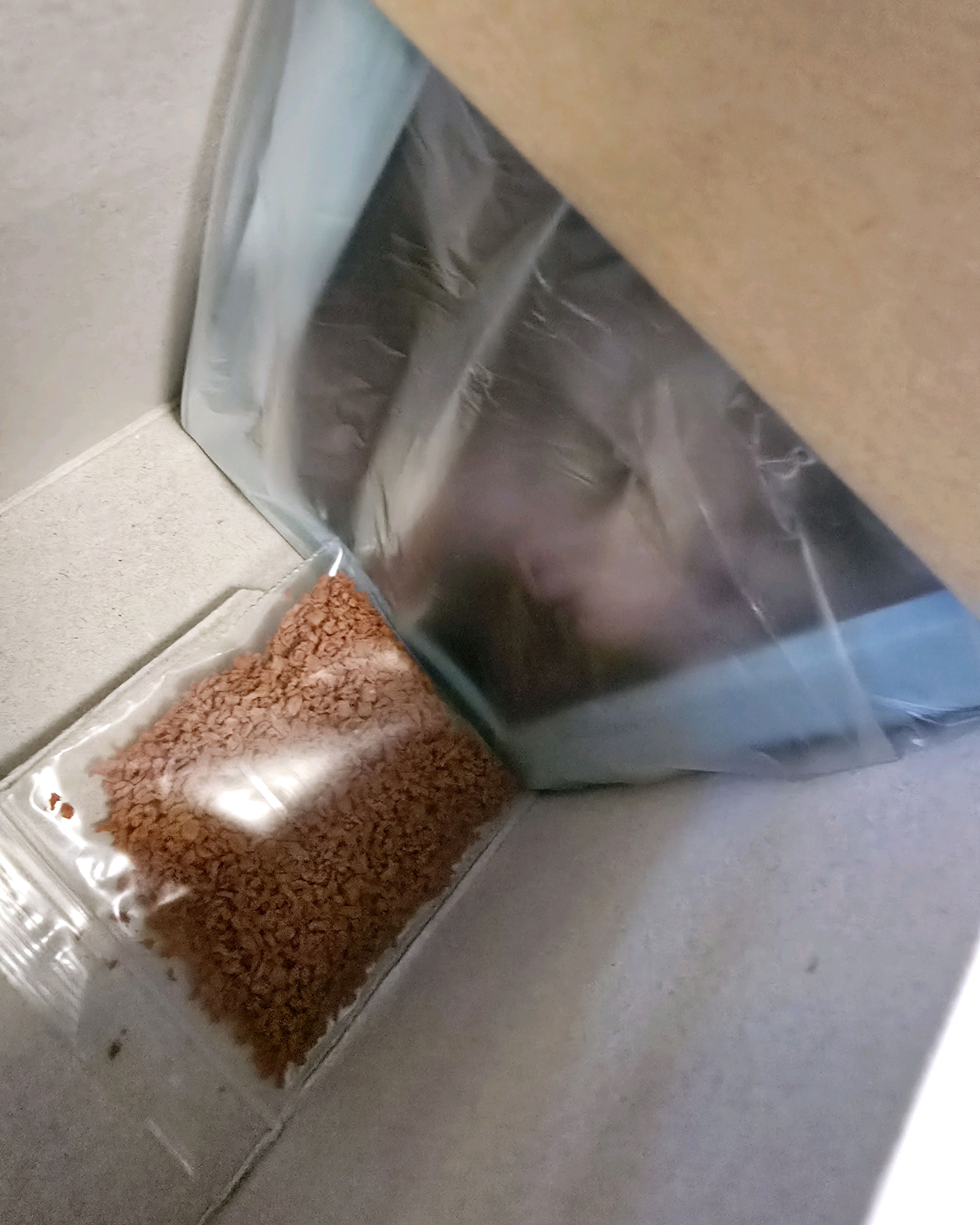 어린이날 기념으로 즉흥으로 방문했어요~! 직원들 친절하고 좋았어요~ - 불당동 맛집 어푸어푸 천안모다아울렛점