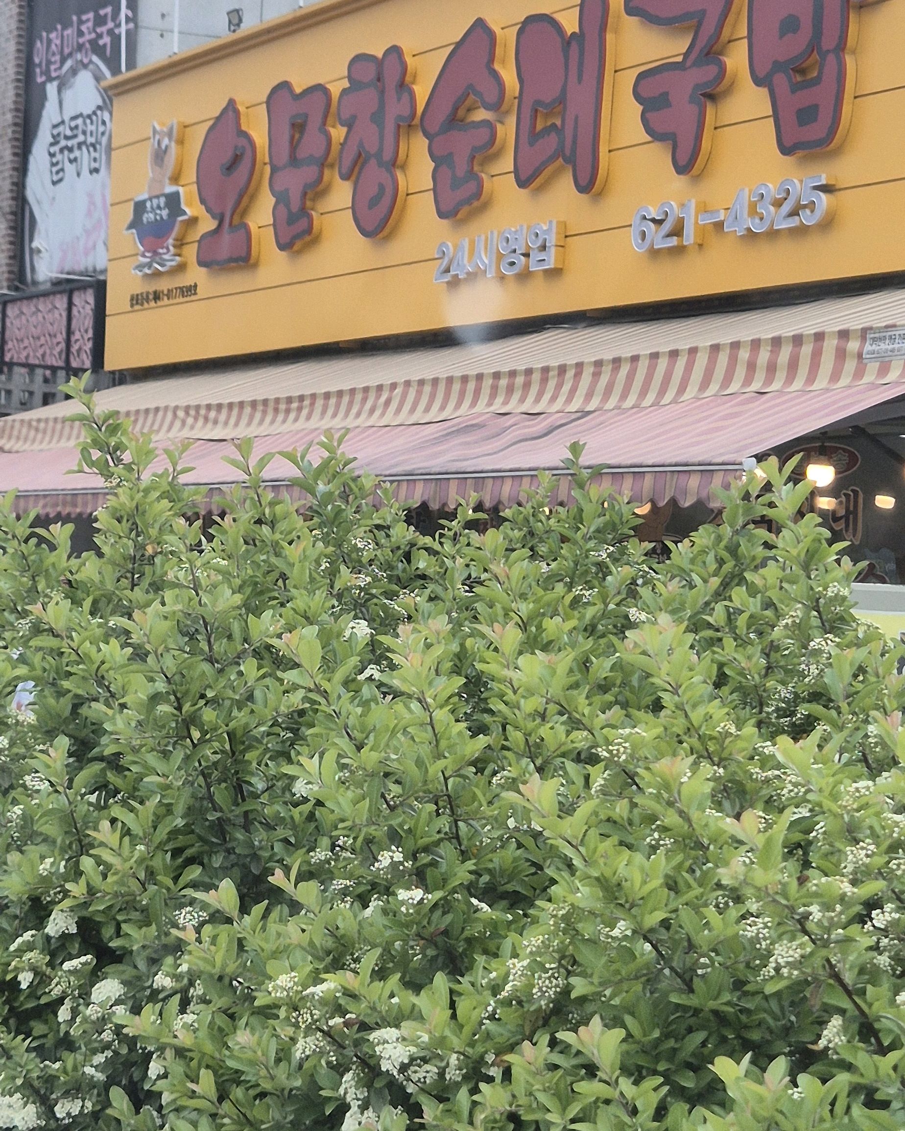 대전 맛집 오문창순대국밥 21번째 리뷰 이미지