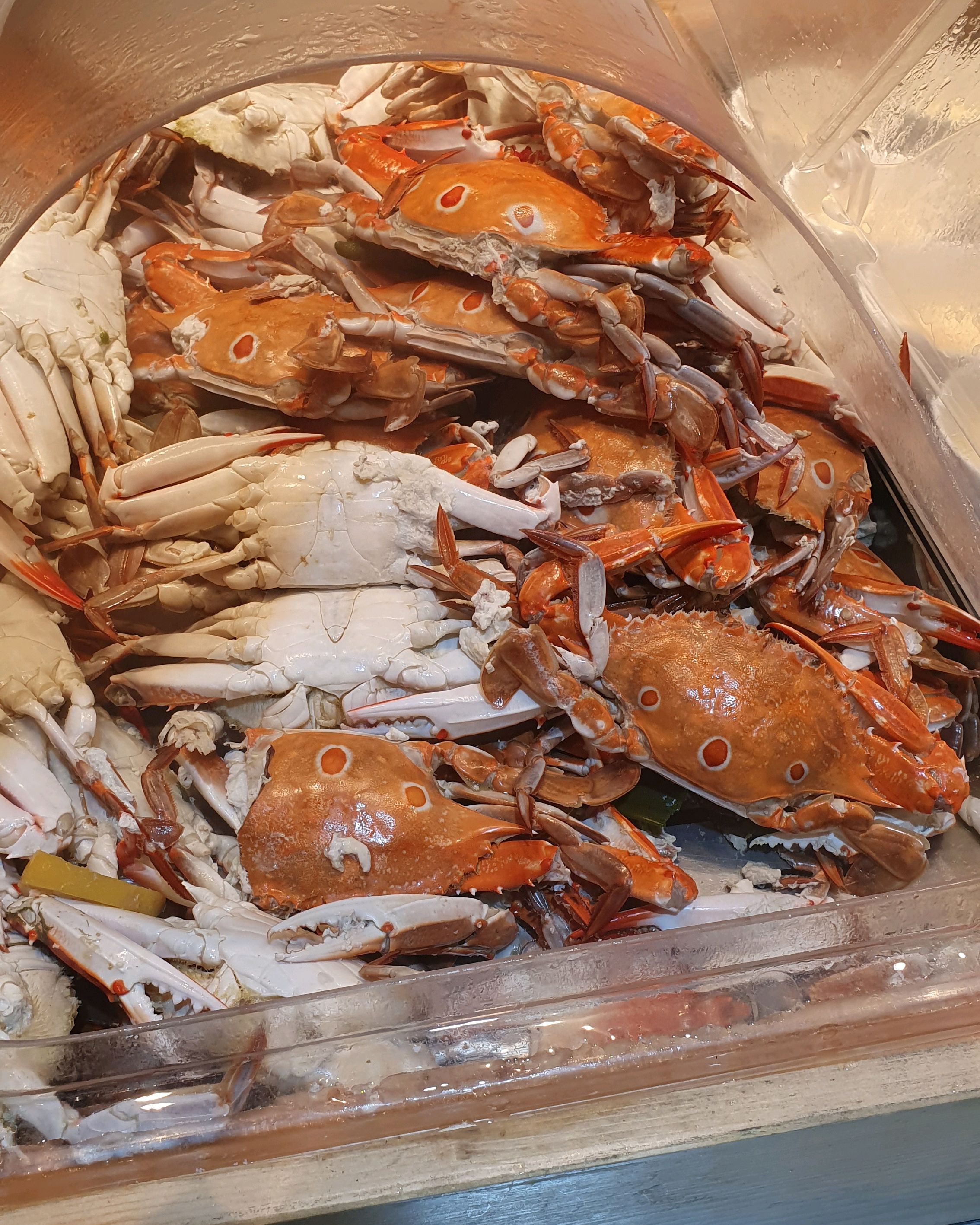 아이들이 아주 마음에 들어합니다 - 비산동 맛집 빕스 비산점