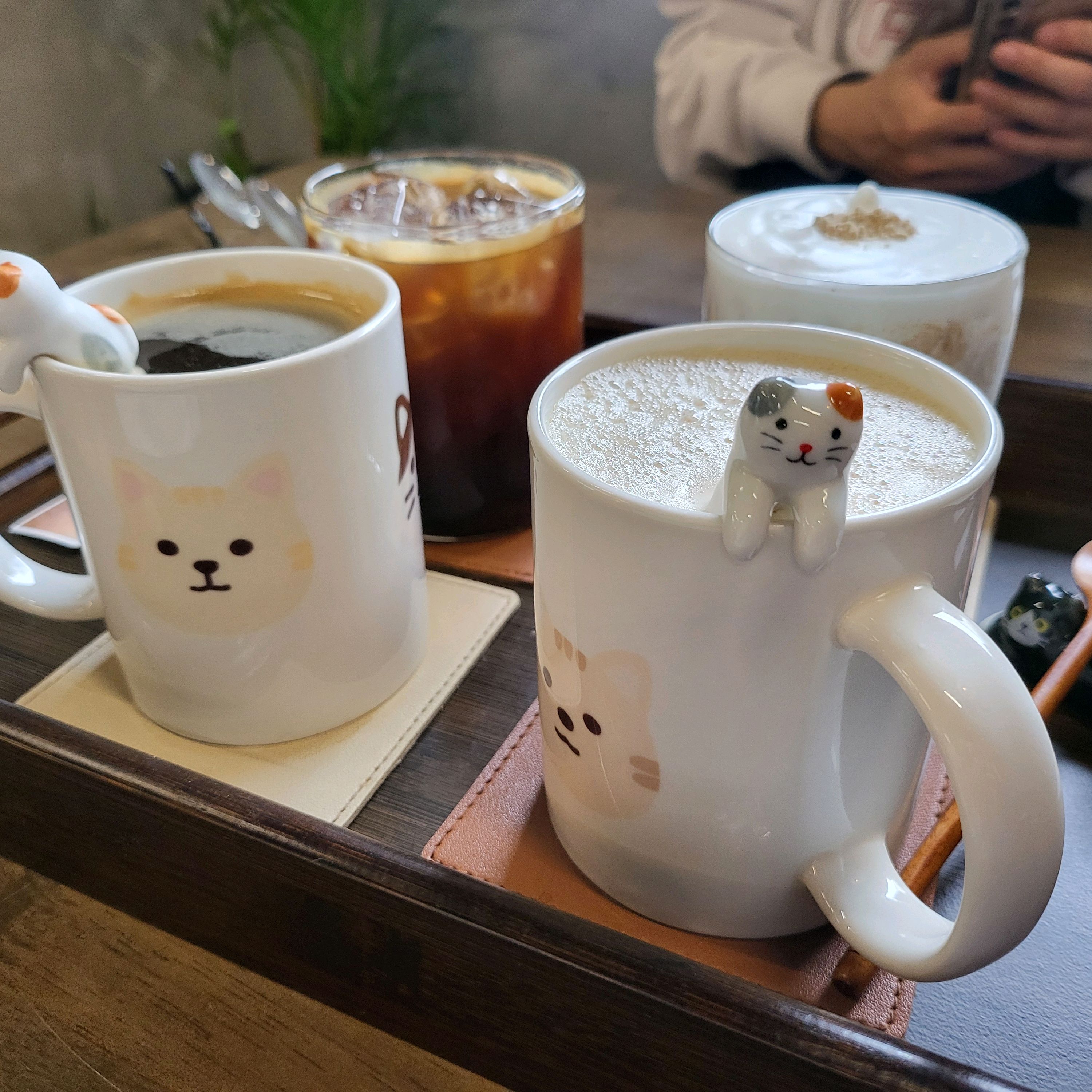 제주도 여행 비와서 주변 급 서치하고 방문^^ - 제주 맛집 미르담