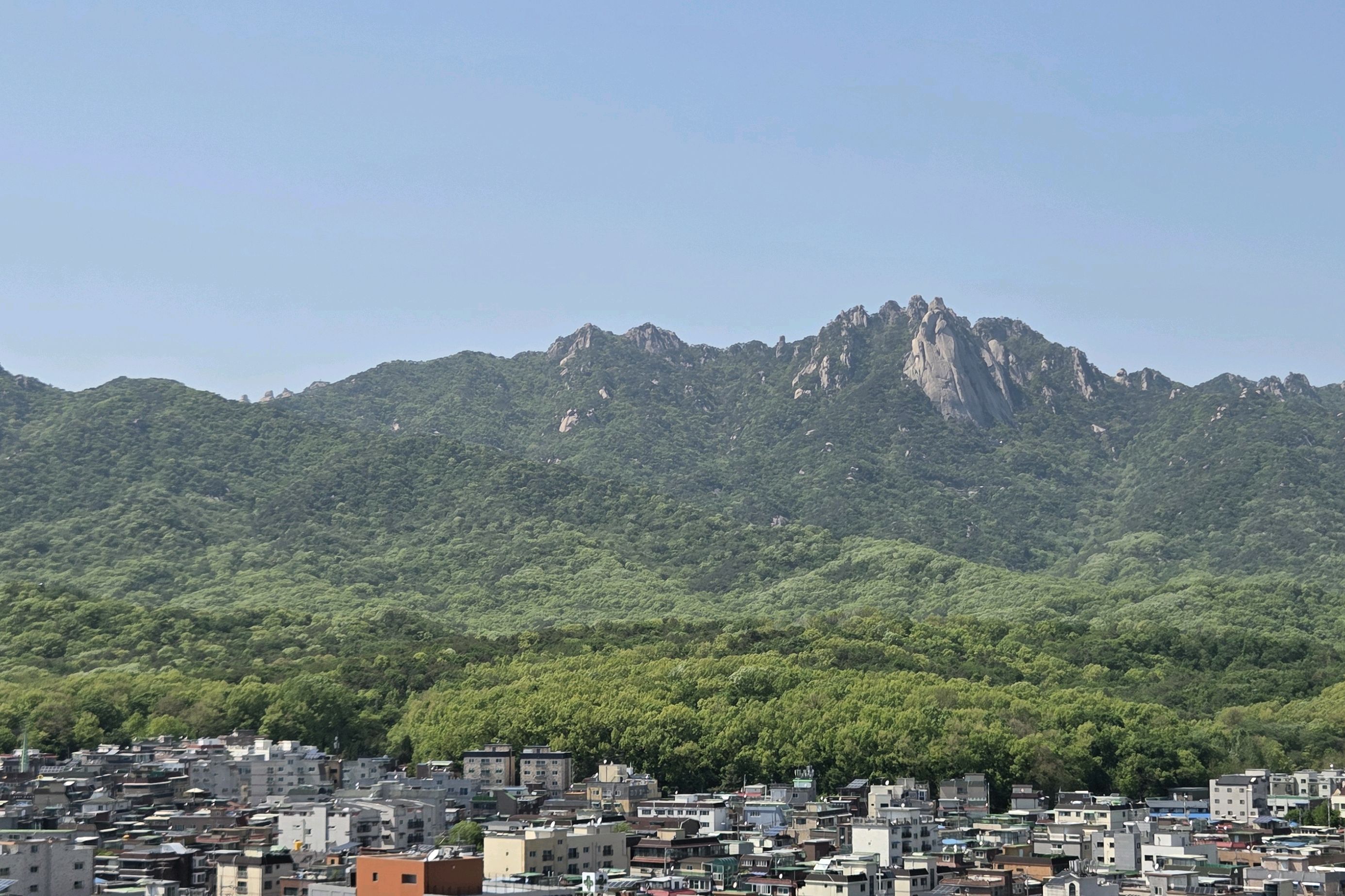 부모님 기념일이라 가촉모임 진행하였습니다. - 방학역 맛집 빕스 방학점