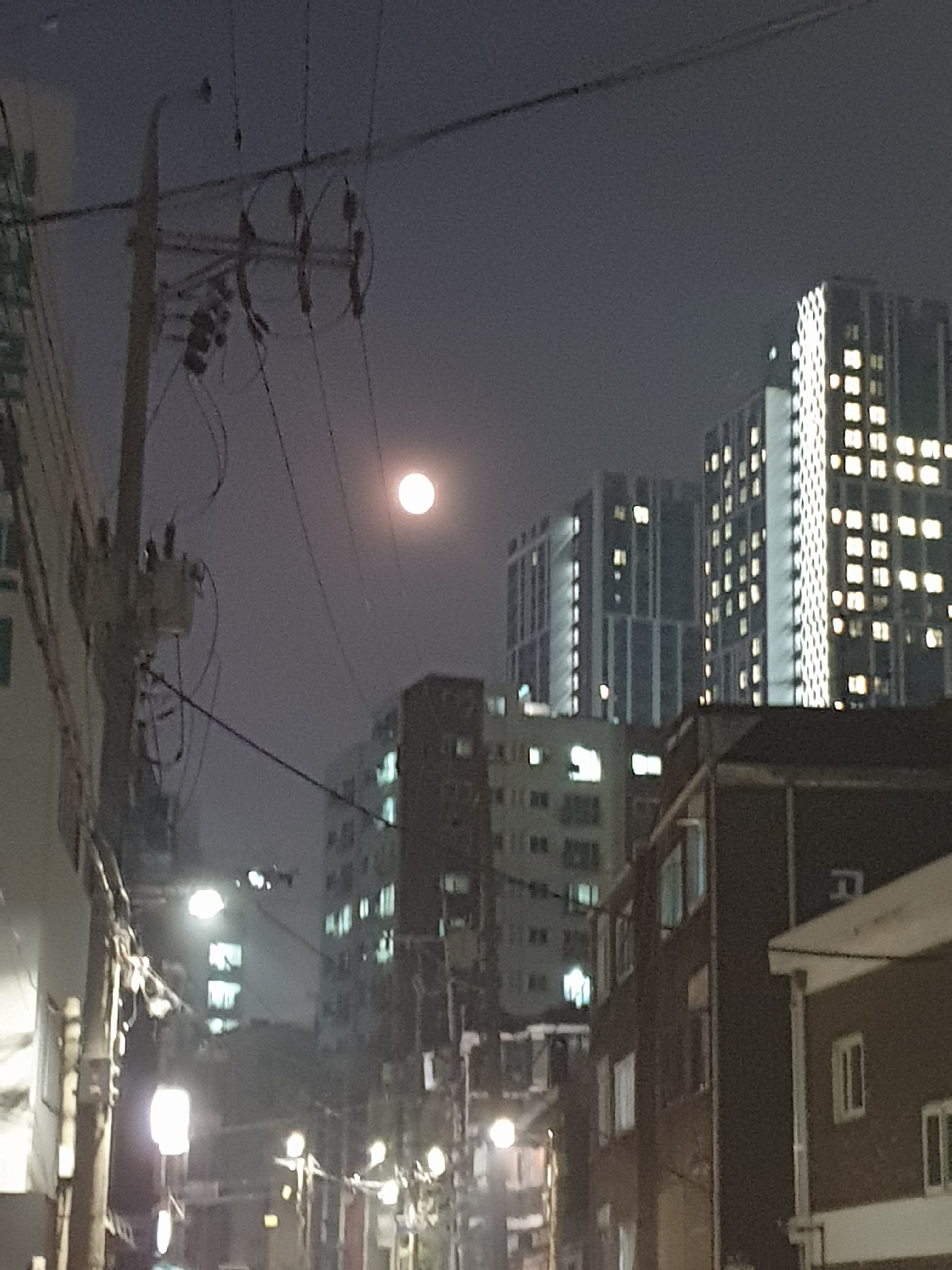 인천 맛집 바베큐광장 8번째 리뷰 이미지