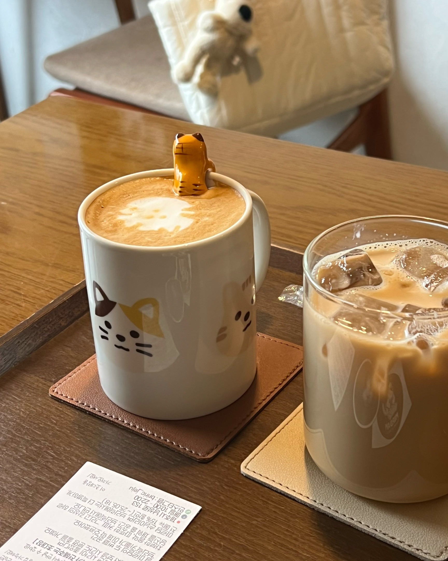귀여운 고양이들이랑 분위기가 너무 좋은곳 좋아여!! - 제주 맛집 미르담