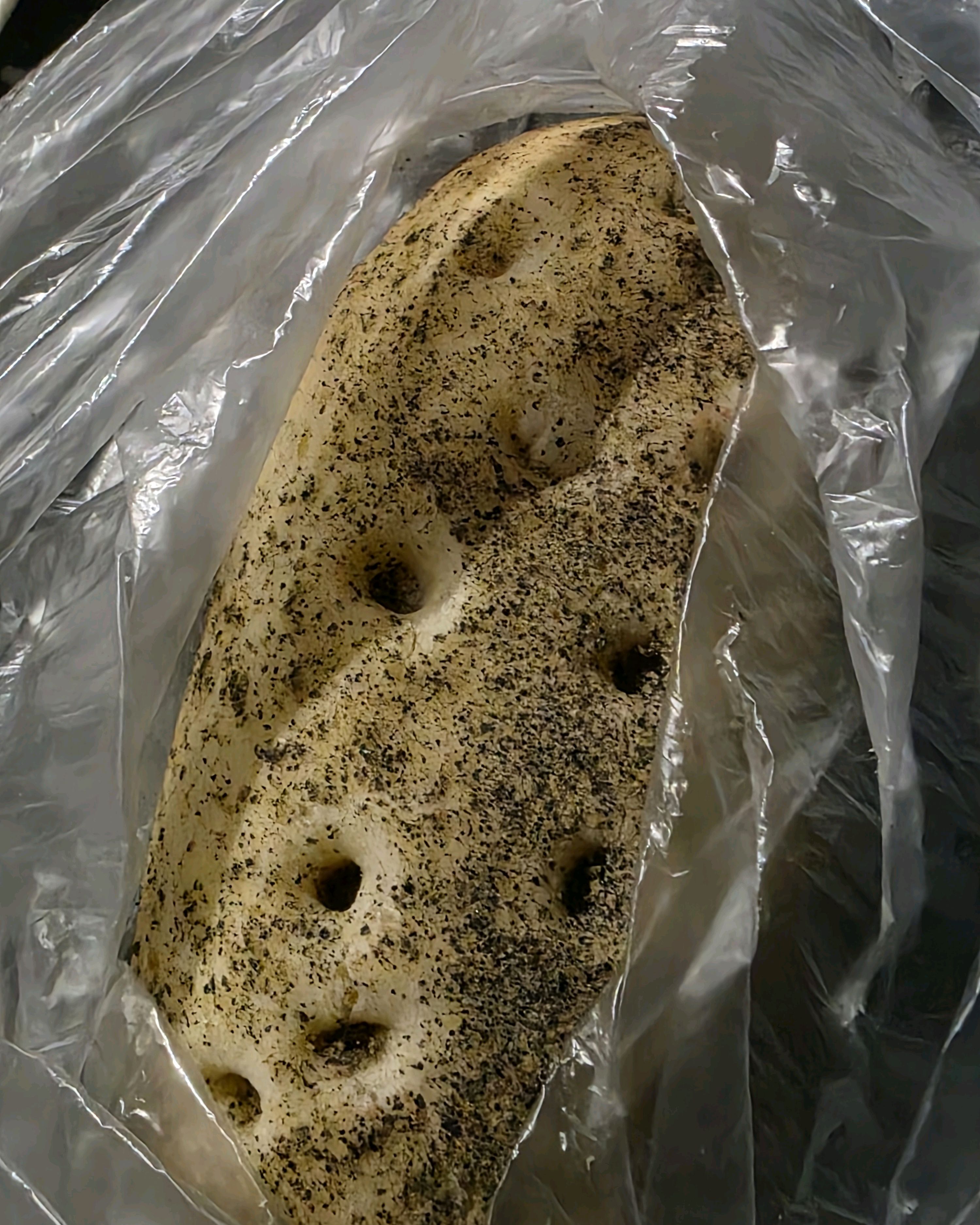 역시 보룡제과는 맛있네요. 부추빵이랑 이것저것 샀는데 순식간에 먹어버려서 감자빵 밖에 못찍