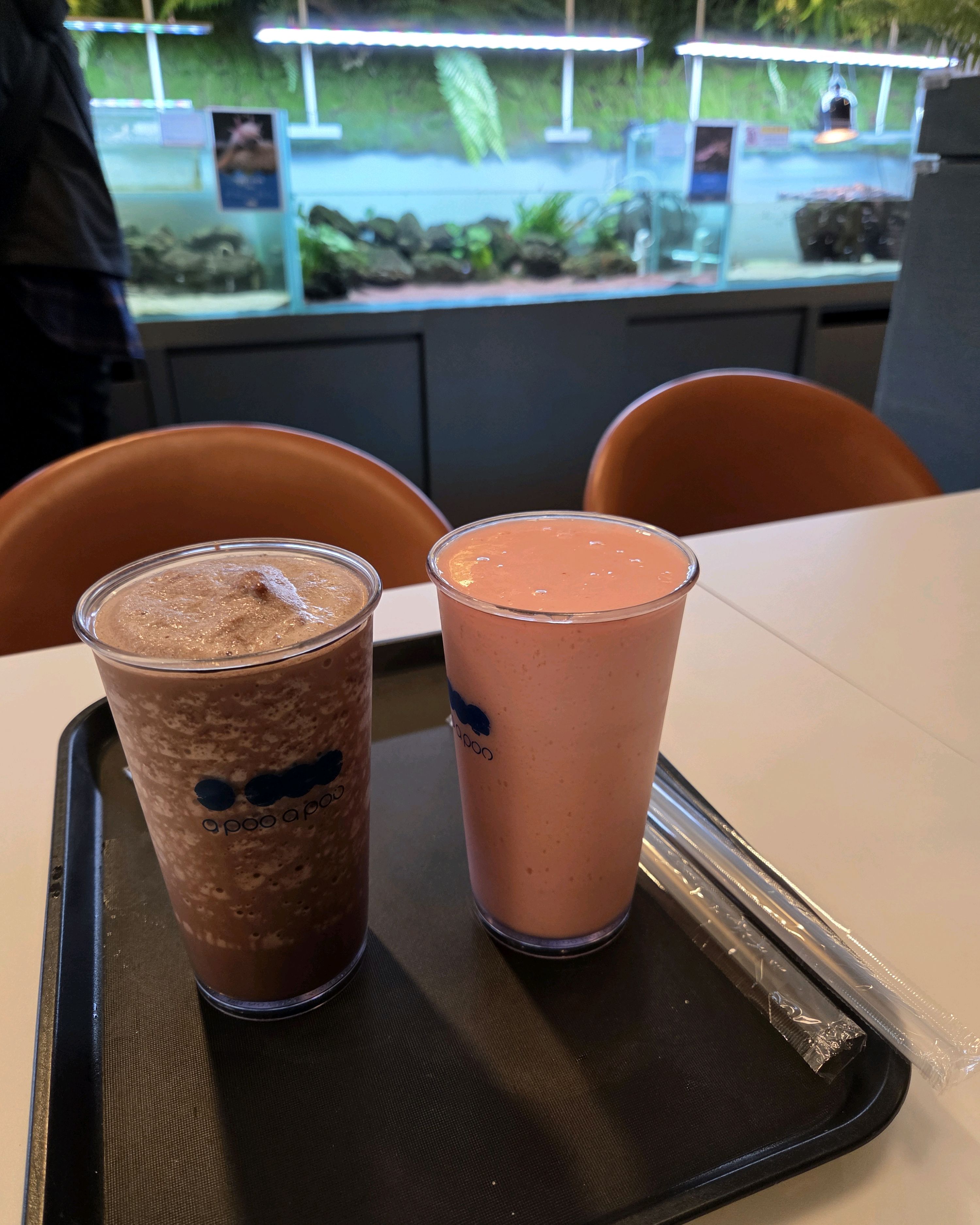 천안여행왔다가 아이랑 들렀어요! 다양한 파충류랑 물고기 잘 보고 먹이주고 갑니다 :) - 불당동 맛집 어푸어푸 천안모다아울렛점