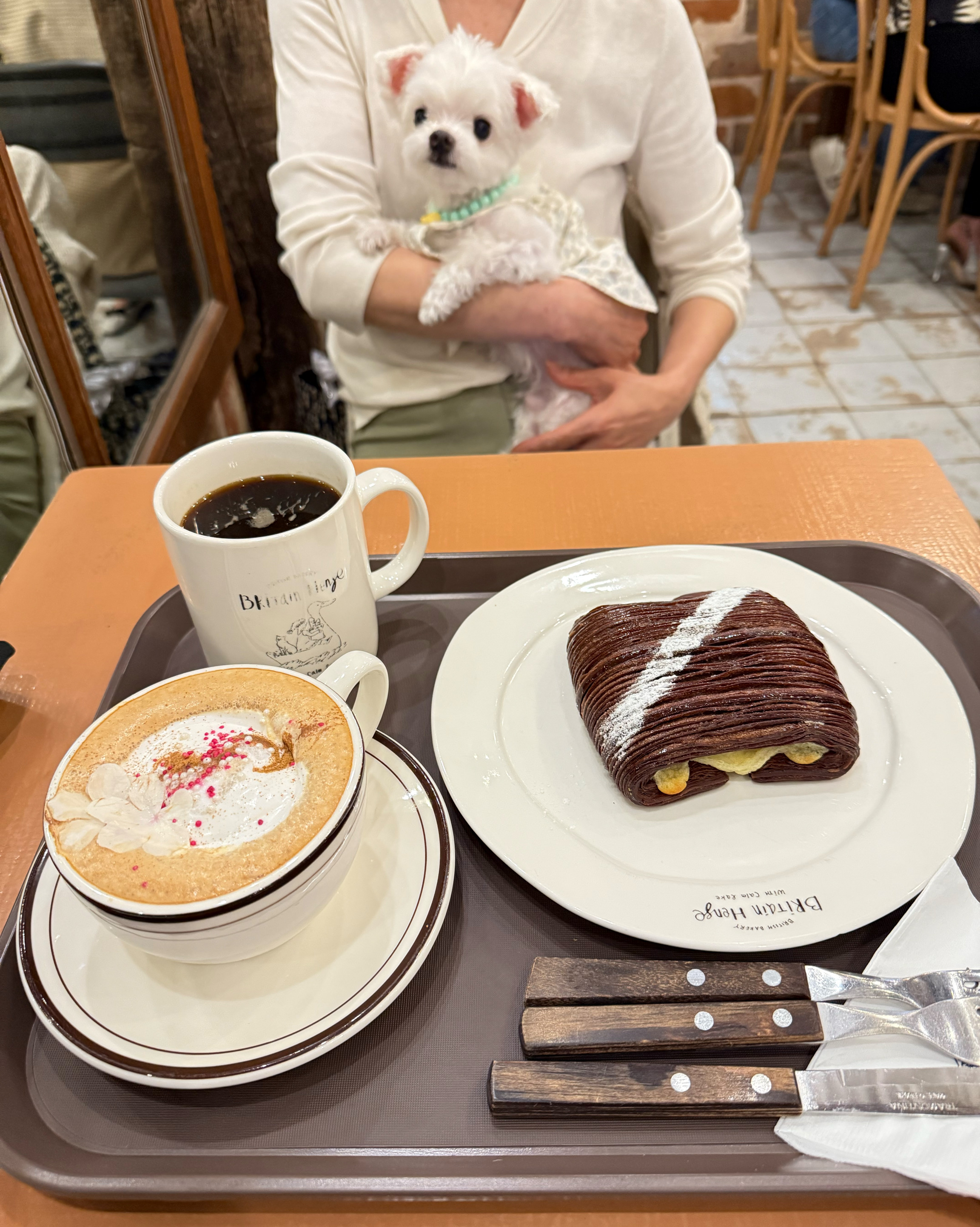 애견동반이라 들리는데 - 대구 맛집 브리튼헨지 수성못본점