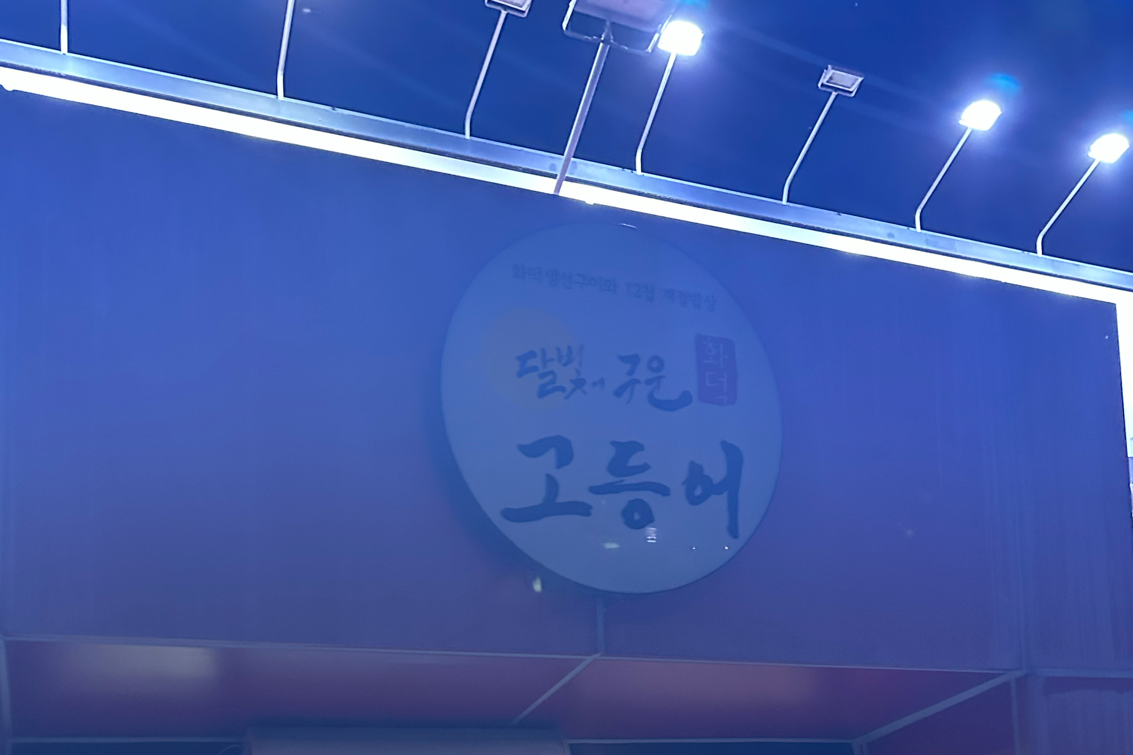 간판에 불이 안들어와서 문닫은줄 알았네요 ㅠㅠ - 대전 맛집 달빛에구운고등어 도마점