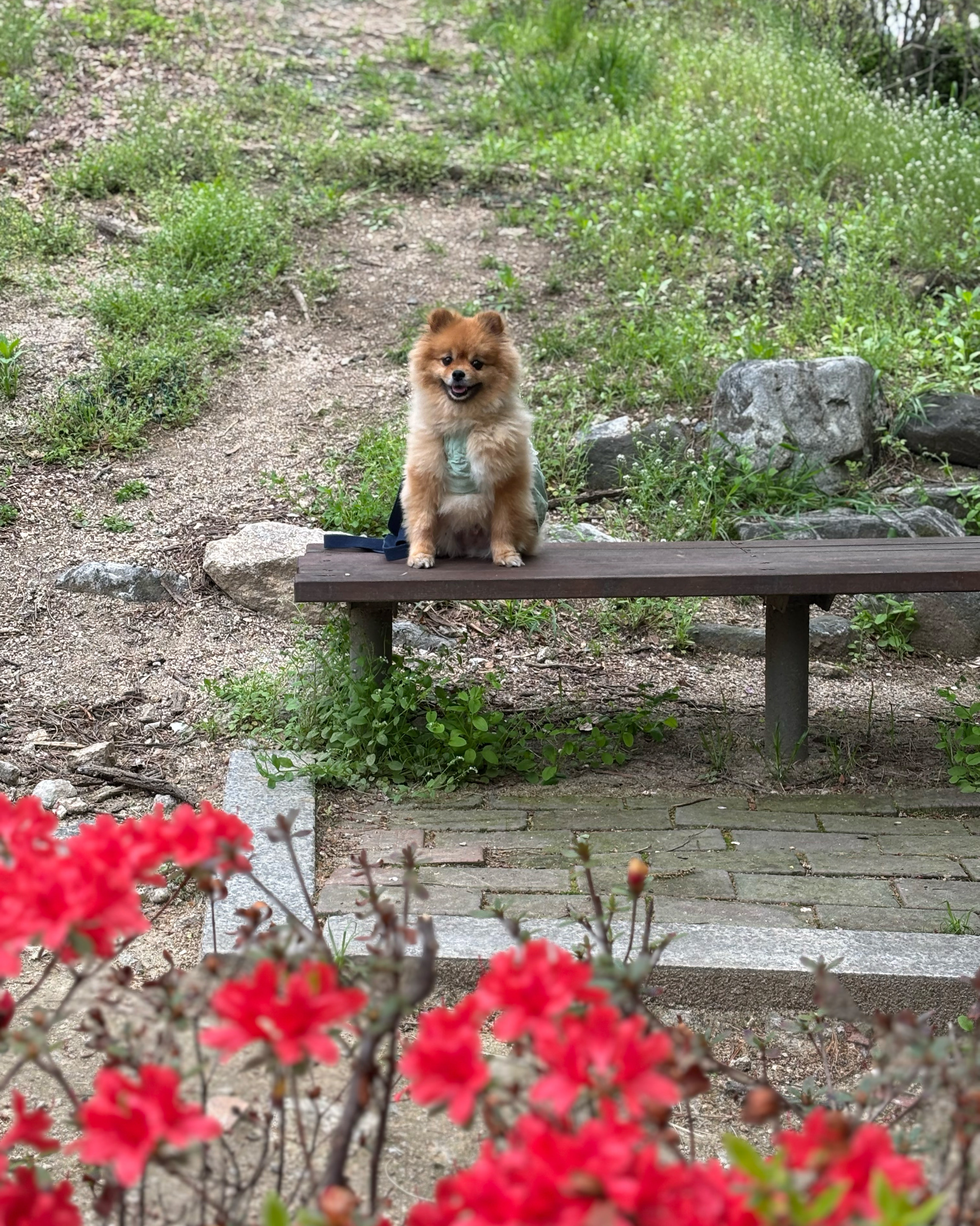 리뷰 사진 1