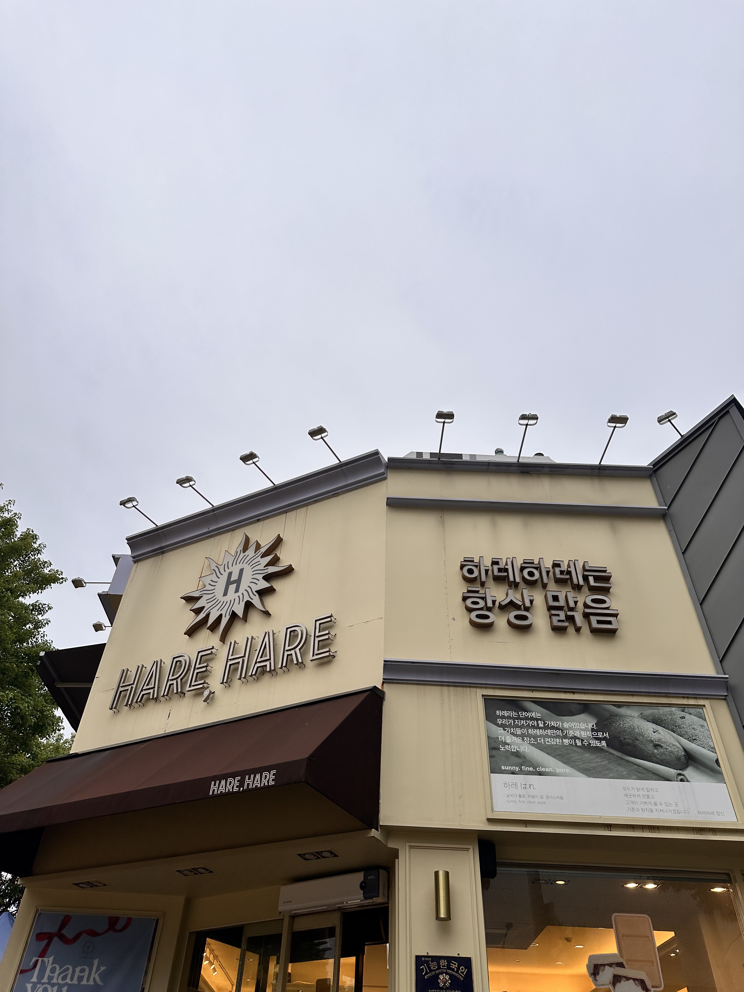 쌀카스테라는 솔드아웃이어서 쌀 쉬폰을 샀어요. 이것저것 샀는데 맛있네요^^ - 대전 맛집 하레하레 둔산점