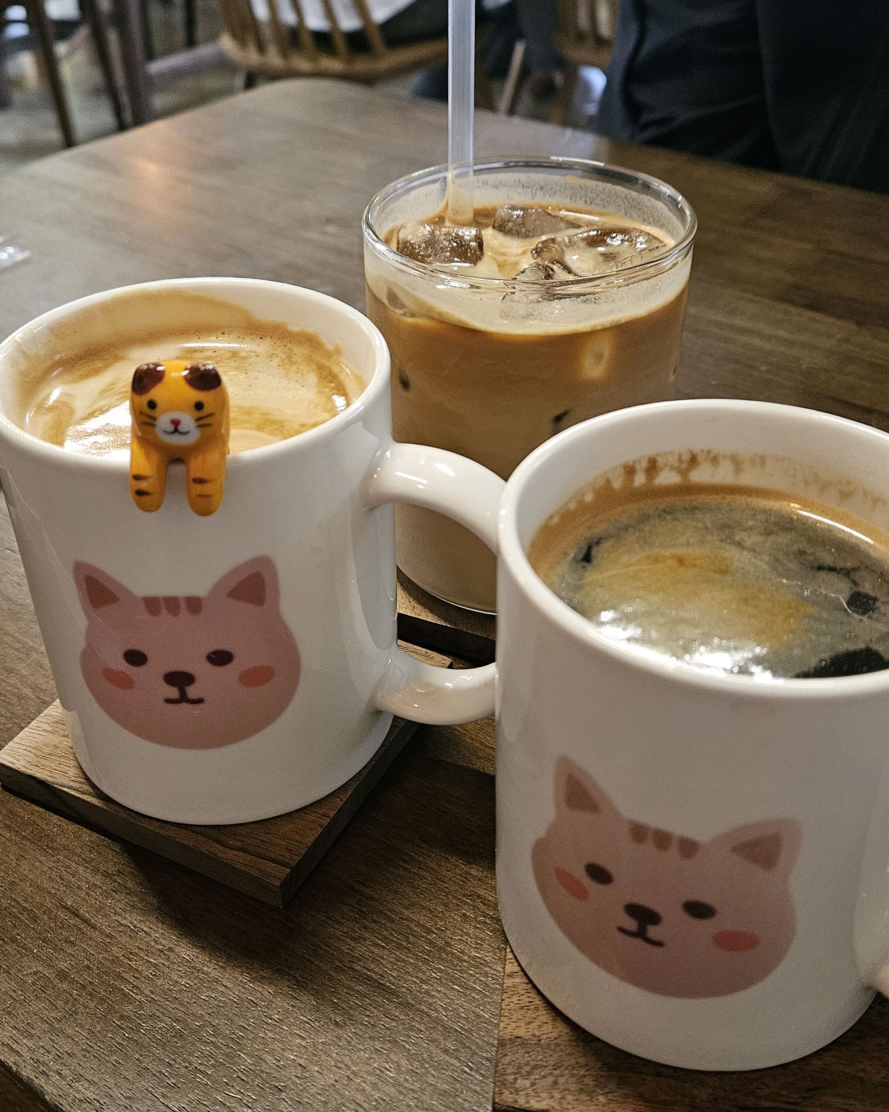 야옹이들 마당서 돌아다니는데 너무 귀엽고 경계심도 없어 다가가도 도망안가더라구요ㅎㅎ 다음에