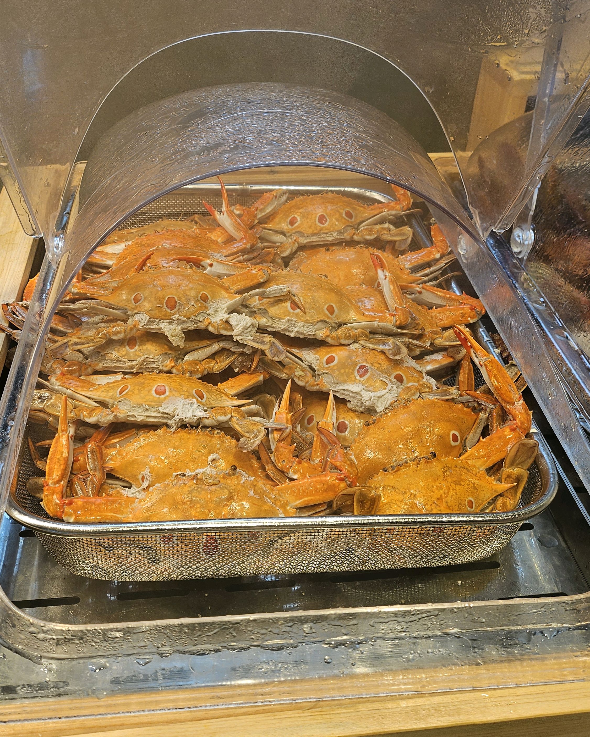 결혼기념일이라 남편이랑 서면 빕스에 방문했는데 - 부전동 맛집 빕스 부산서면점