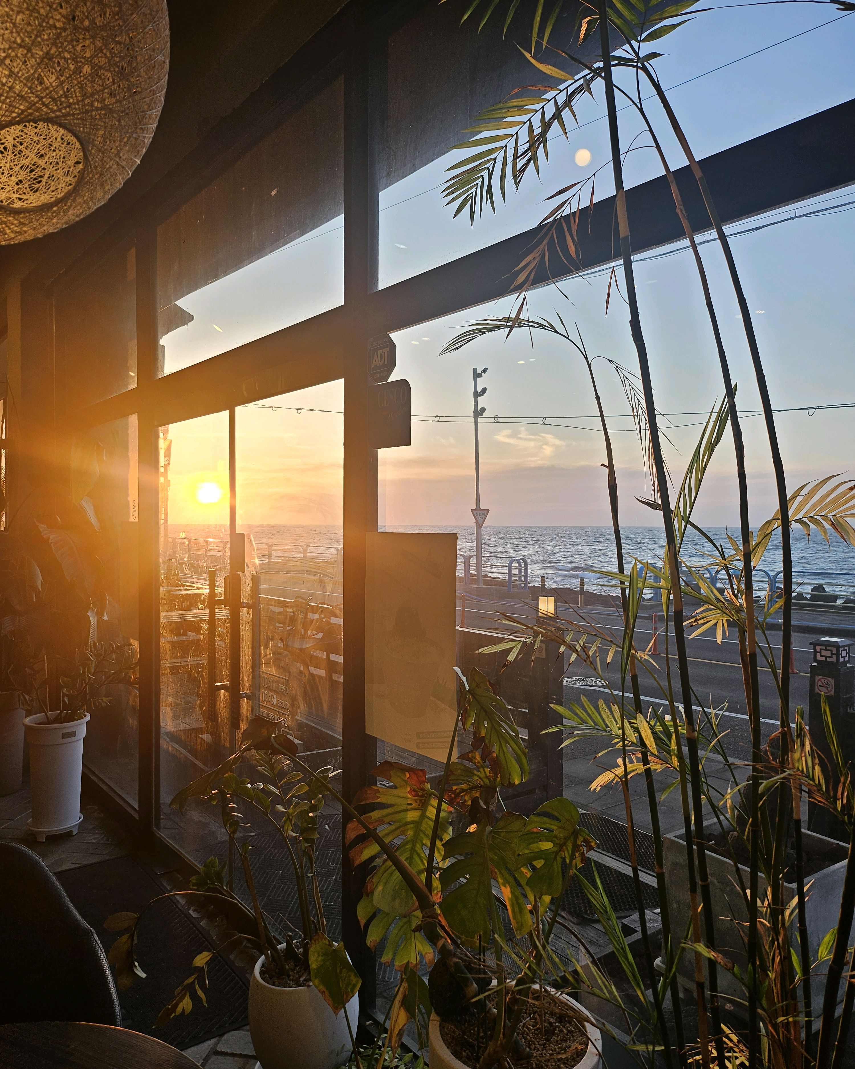 음료도 맛있고 노을 보기에도 좋고 - 제주 맛집 제주설심당 본점