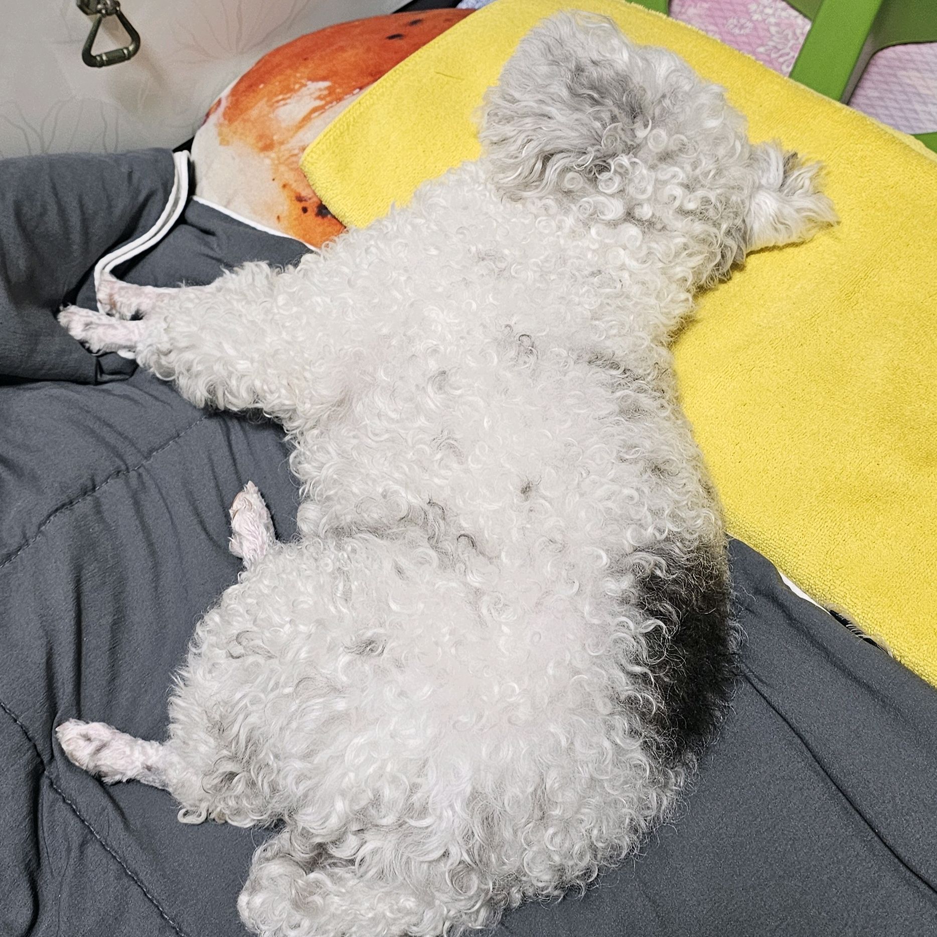 리뷰 사진 1