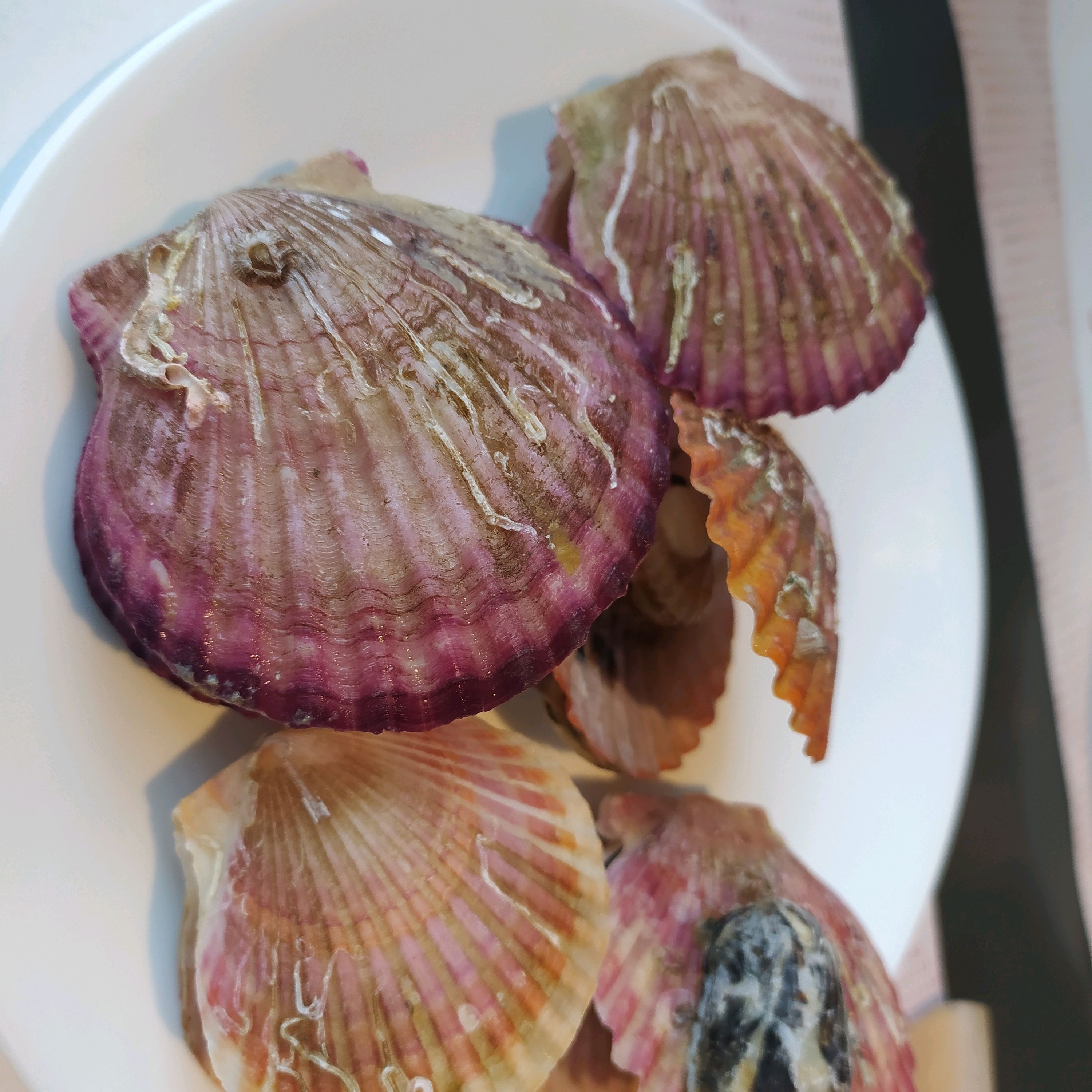 제주 맛집 빕스 제주점 12번째 리뷰 이미지