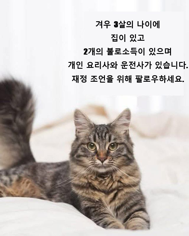 리뷰 사진 1