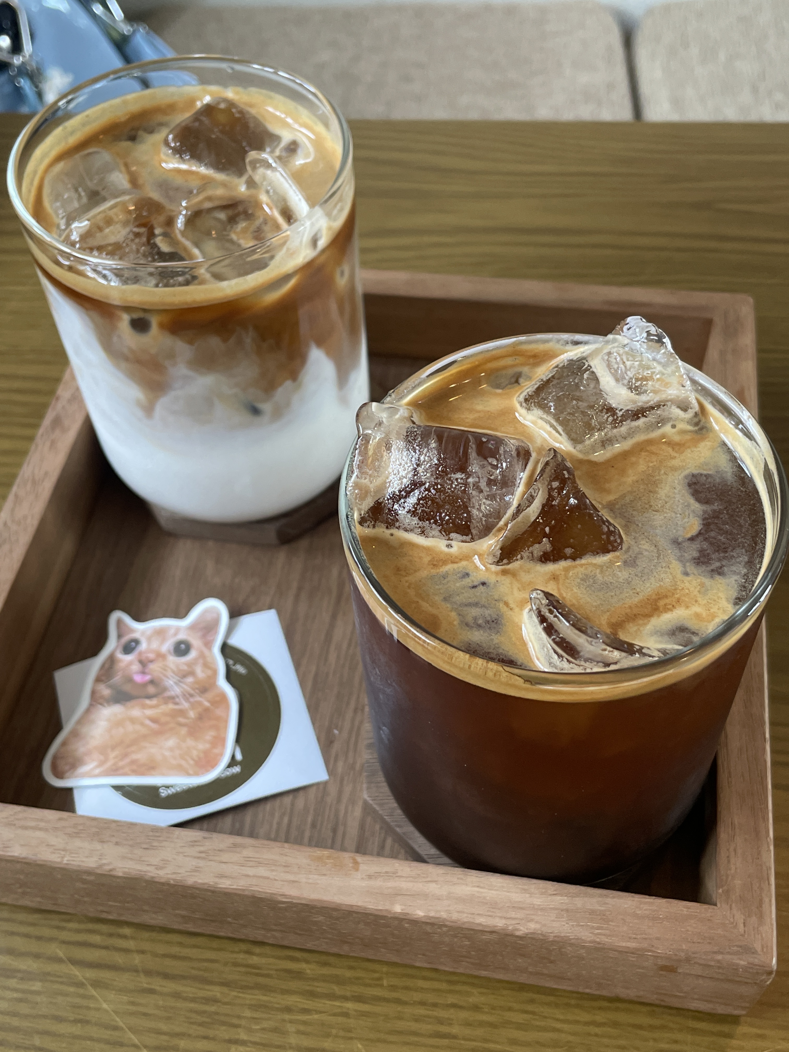 고양이가 귀엽고 분위기가 차분해서 좋아요 - 제주 맛집 미르담