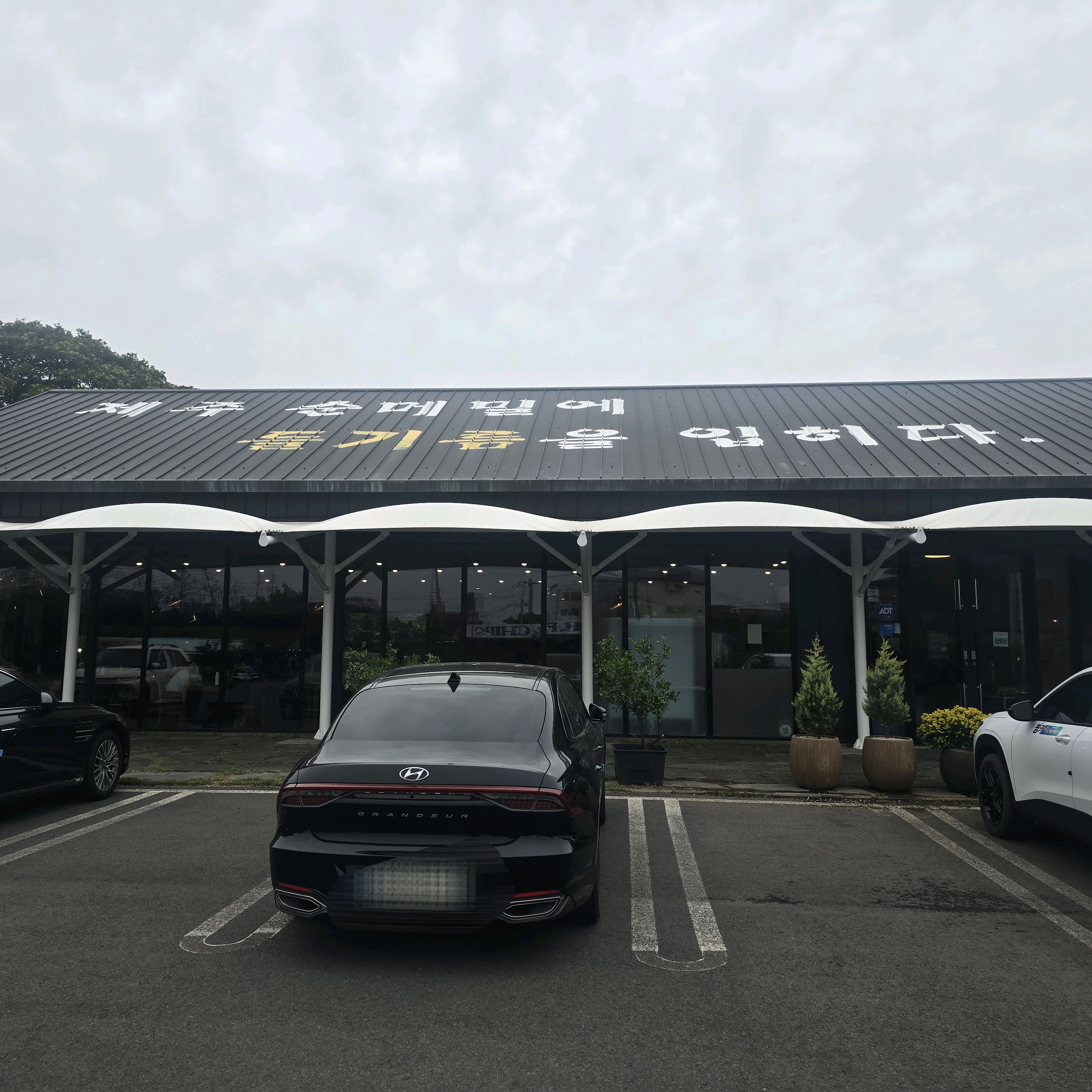 오셜록티뮤지엄에서 이동중에 보여서 방문해봤어요 메밀국수는 제주에서 처음이었는데 맛있었고 주