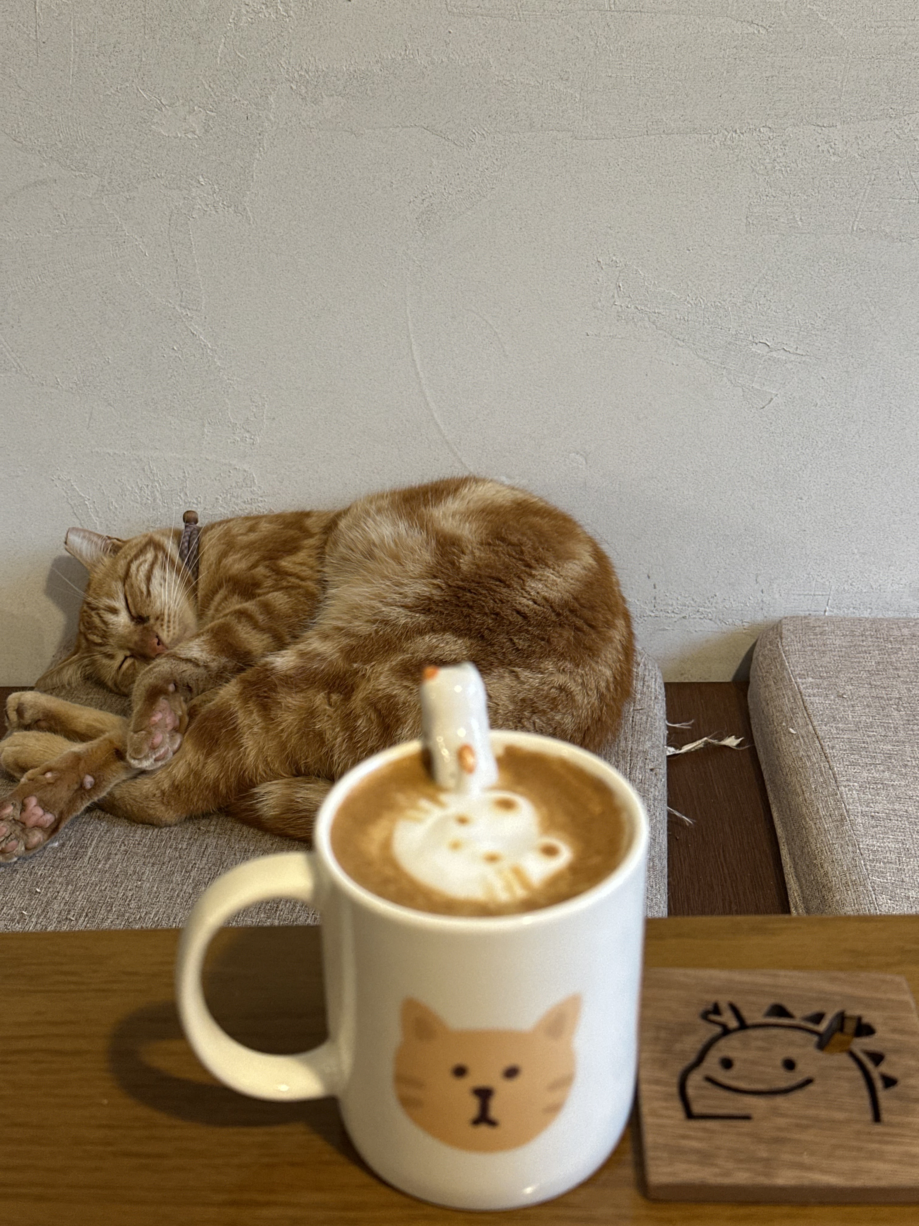 🐱나만 알고 싶은 미르담, 조용하고 혼자만의 시간 보내기 좋은 공간이에요🐱 - 제주 맛집 미르담