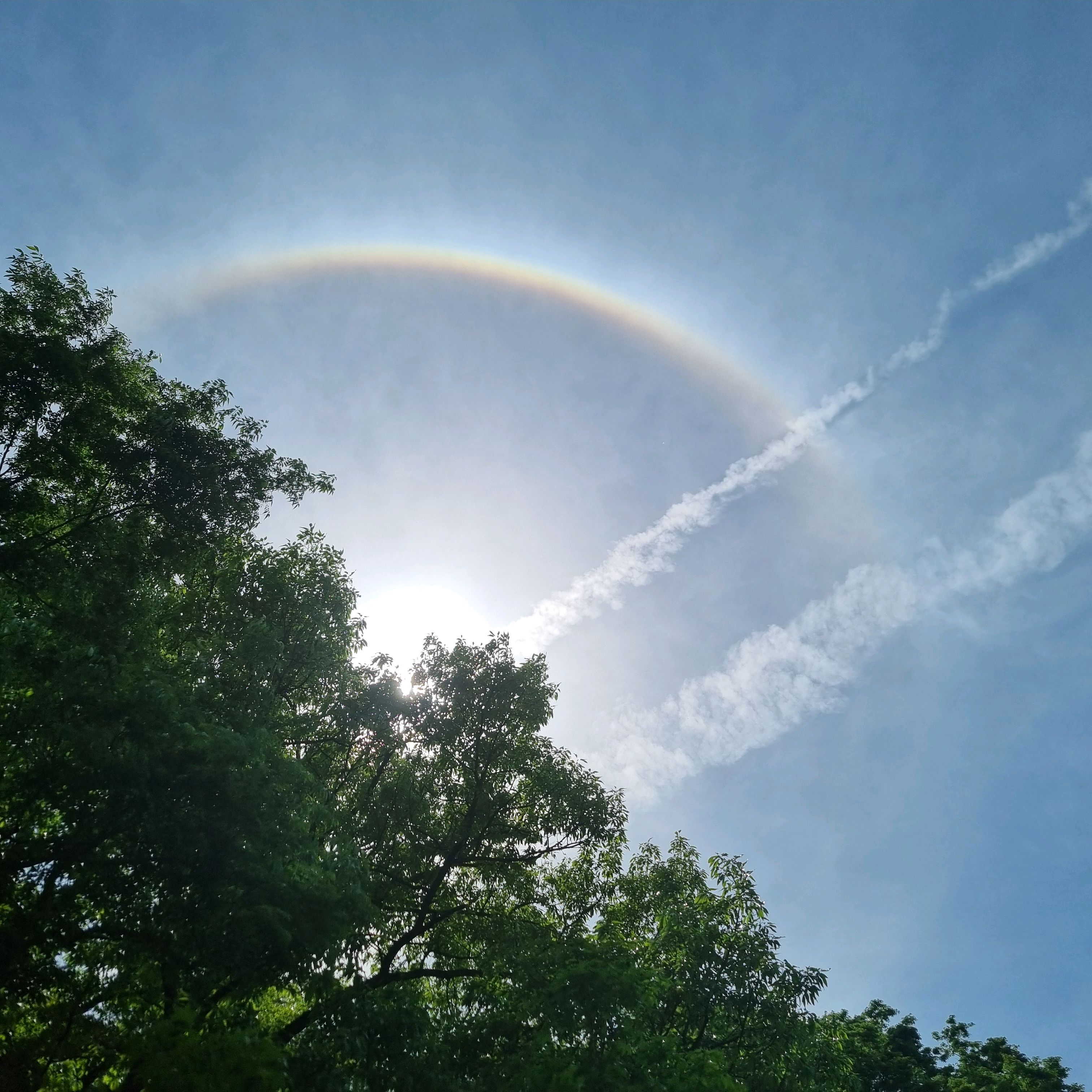 굿 - 대전 맛집 시민칼국수