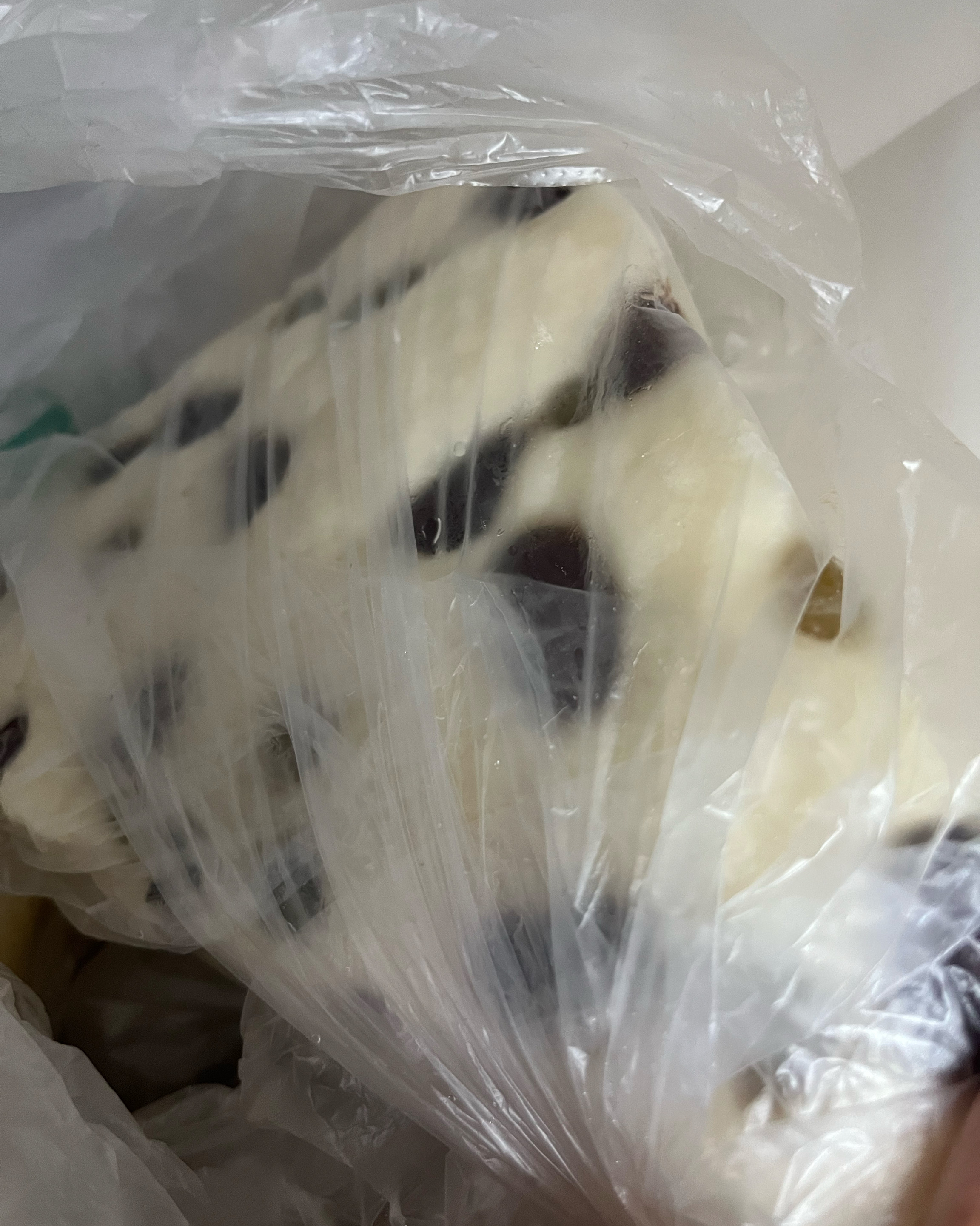 운 좋게 줄 짧아서 들어가서 샀는데 존맛 콩 싫어하는데 콩맛이 달달해서 맛있어요 다음달에