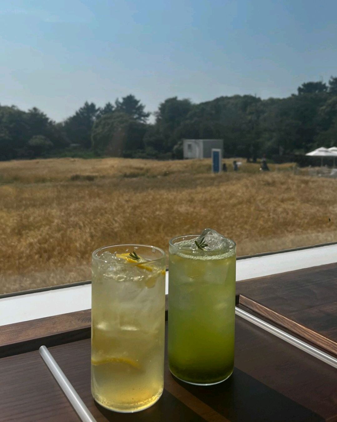사장님도 친절하시고 음료도 맛있고요 무엇보다 야외배경이 진짜 이뻐요 꼭 오세용 - 제주 맛집 비케이브