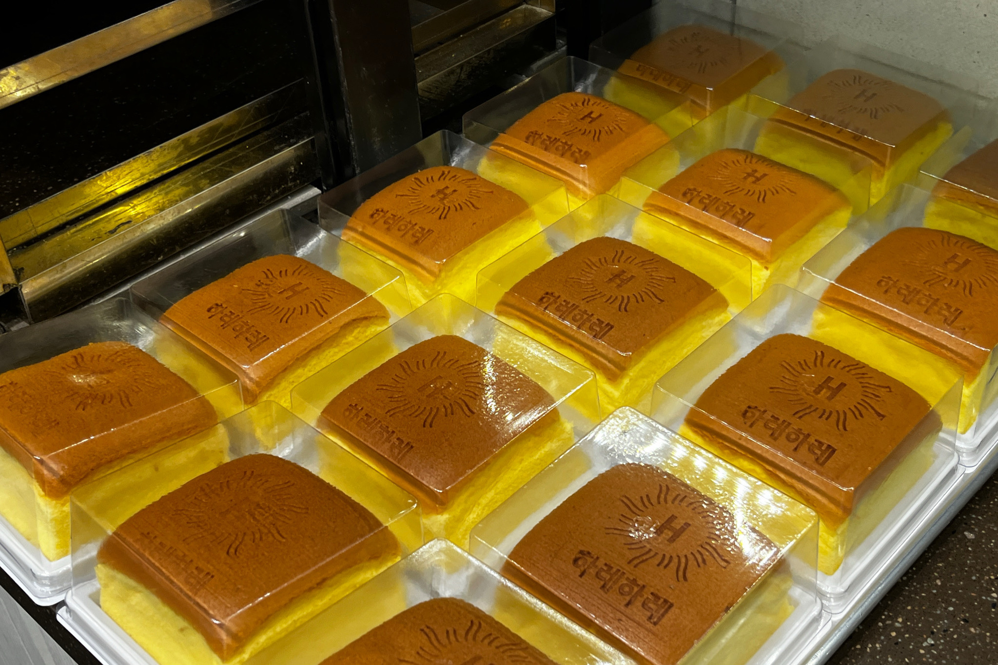 대전 성심당 다음으로 유명한 빵집이에요🍞 - 대전 맛집 하레하레 둔산점