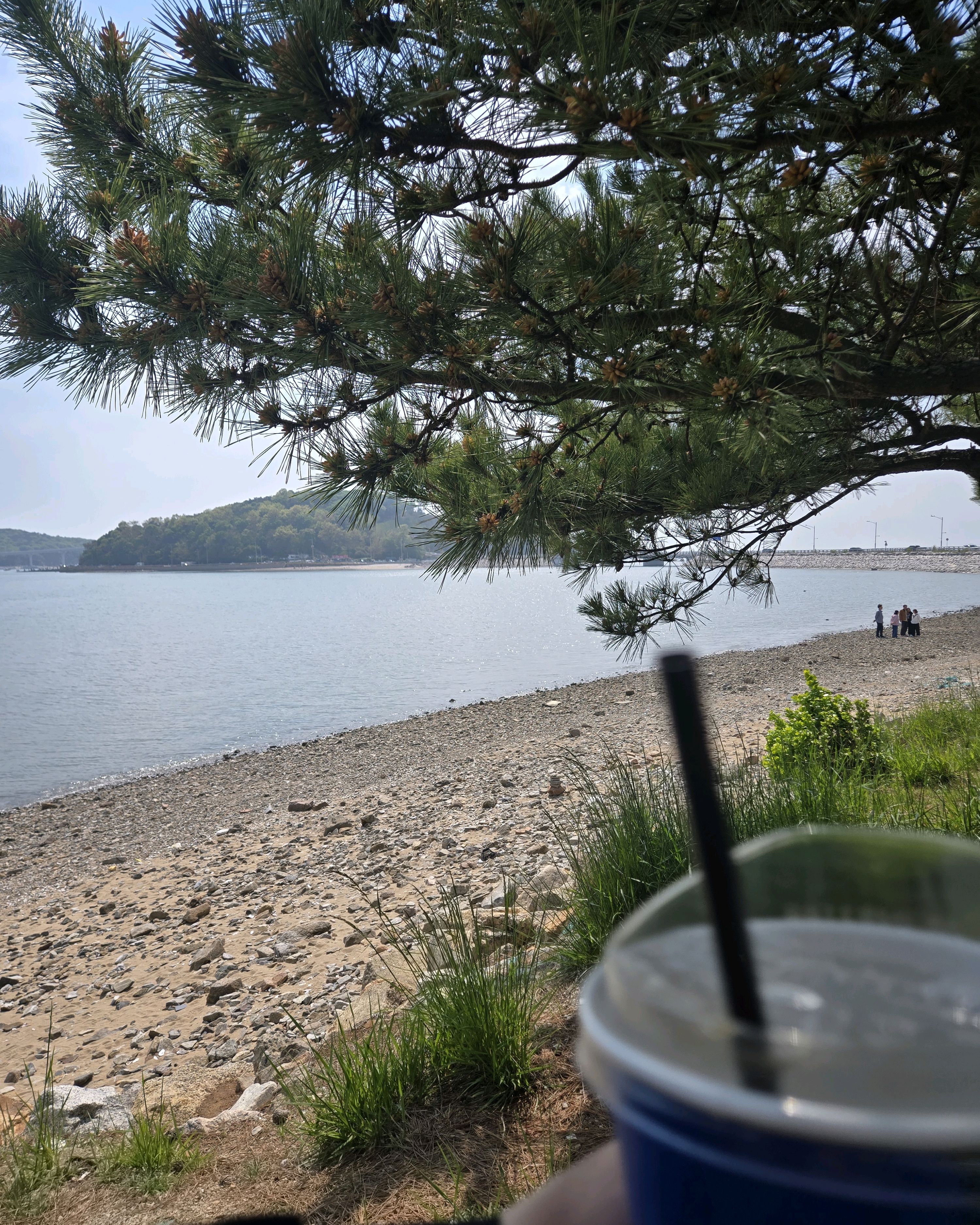 밥먹고 바람쐬러 와봤어요 - 인천 맛집 셀럽