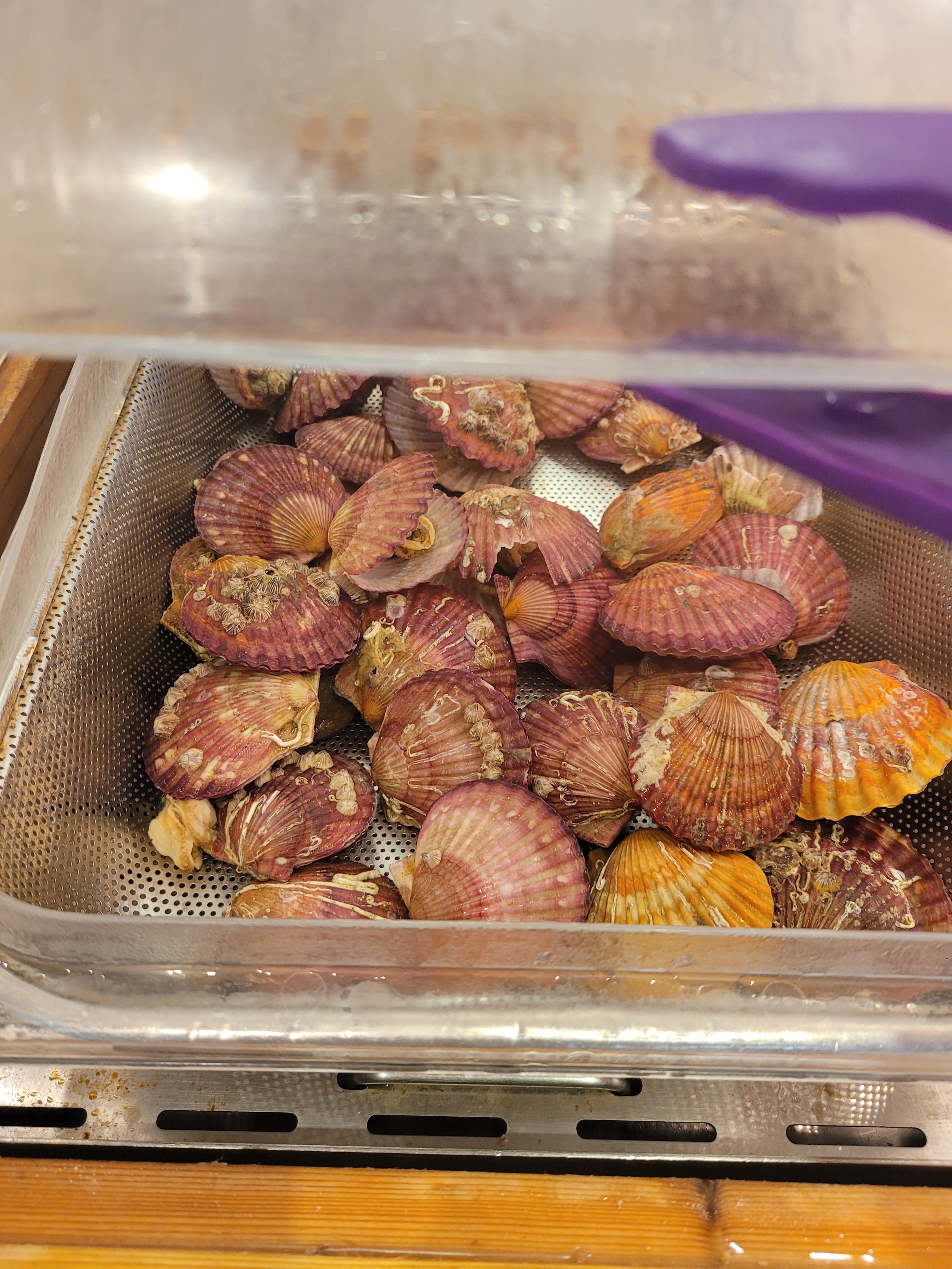 샐러드 러버인 가족들끼리 주말에 와서 맛있게 먹었어요! 샐러드하면 역시 빕스죠!! :) - 대방역 맛집 빕스 대방점